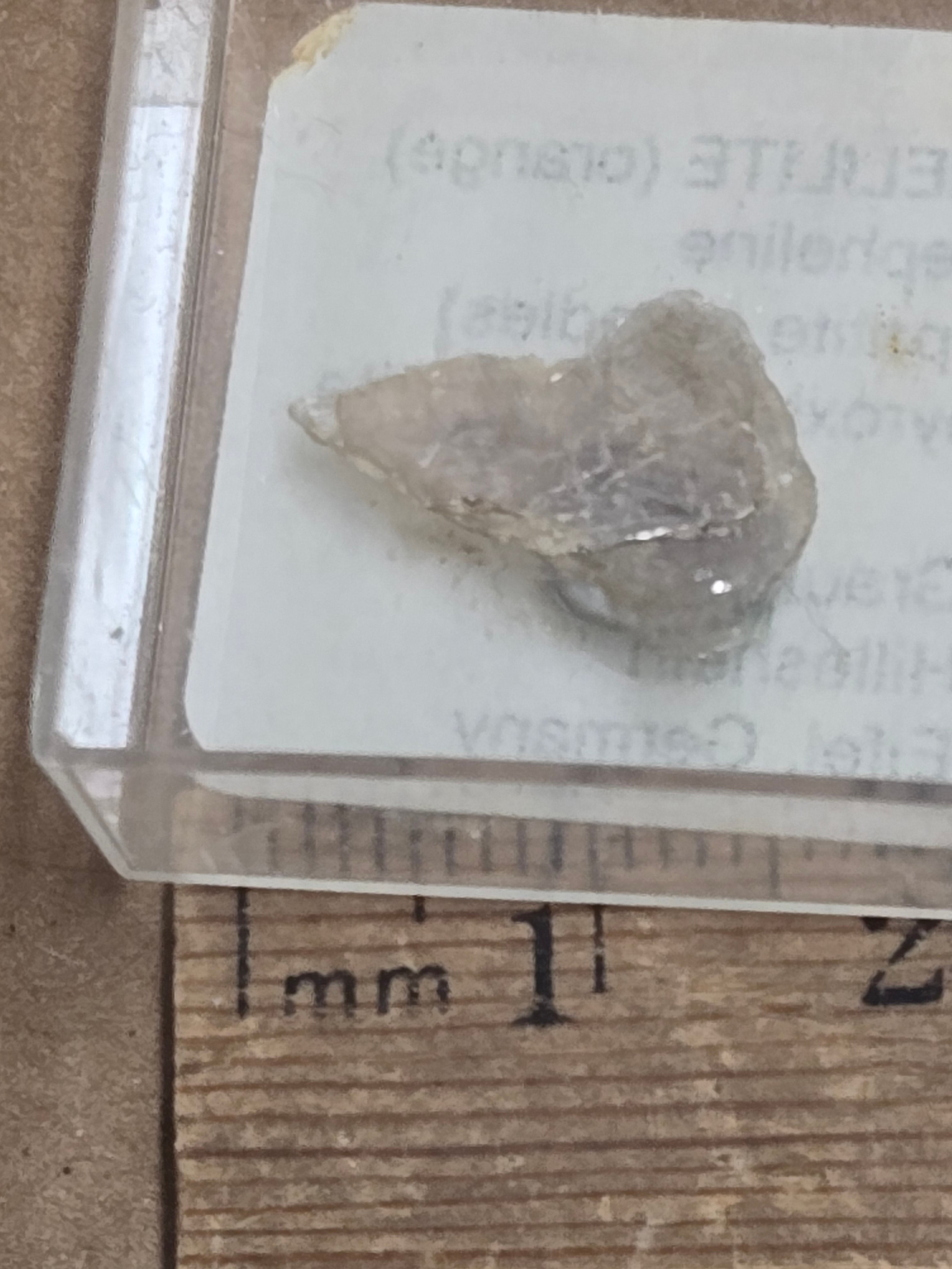 Masutomilite
