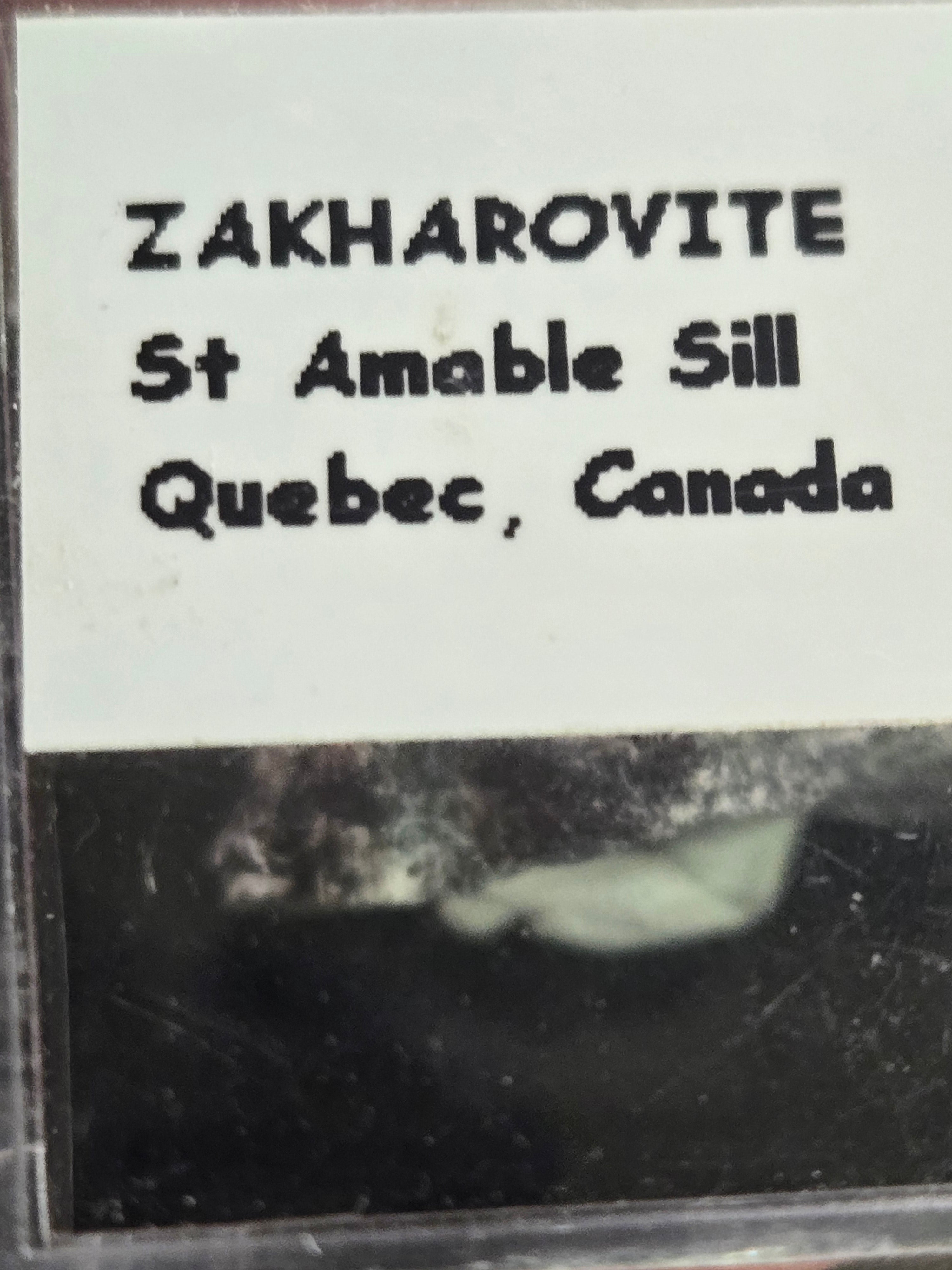 Zakharovite  specimen