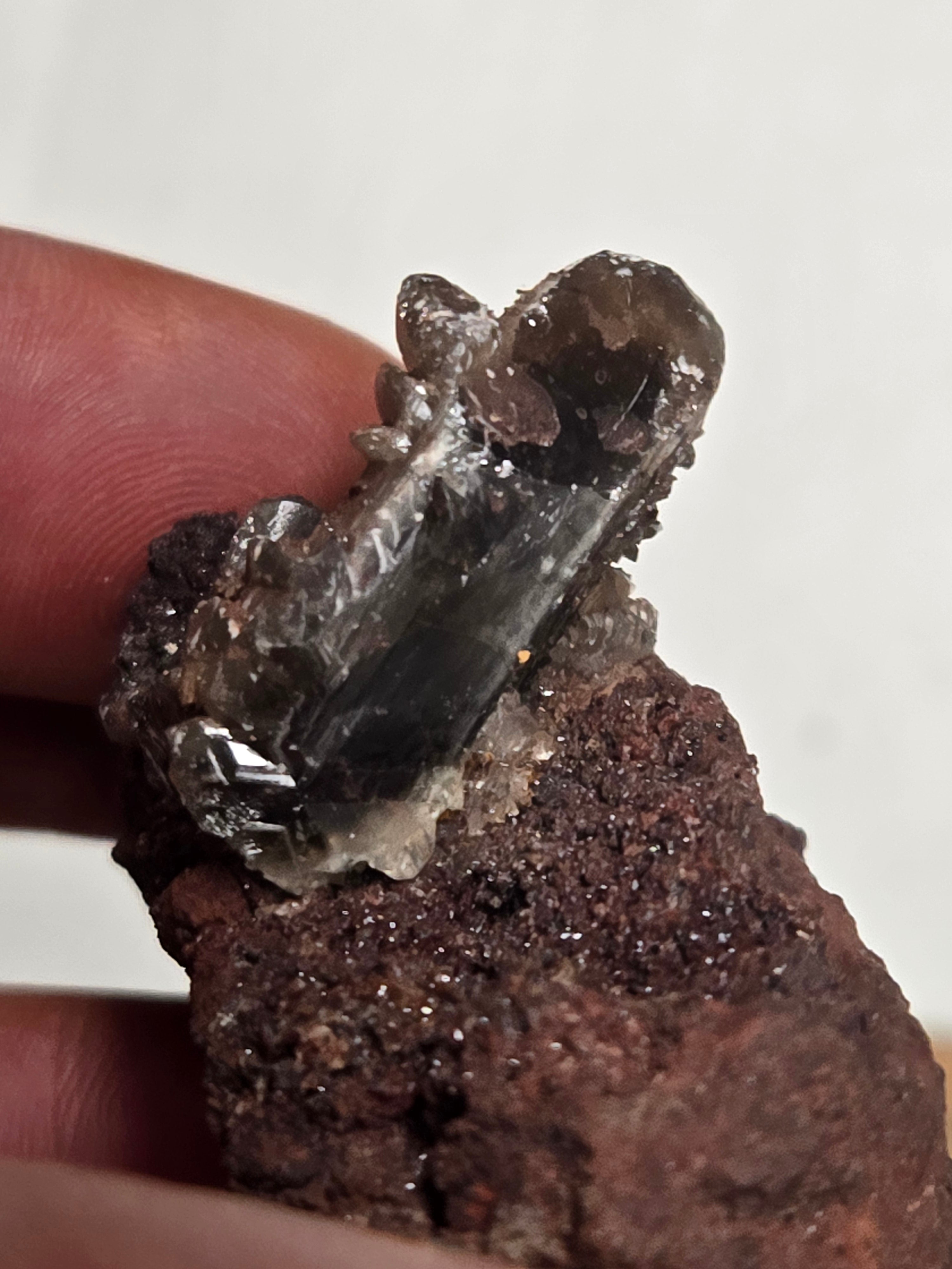 Anglesite specimen