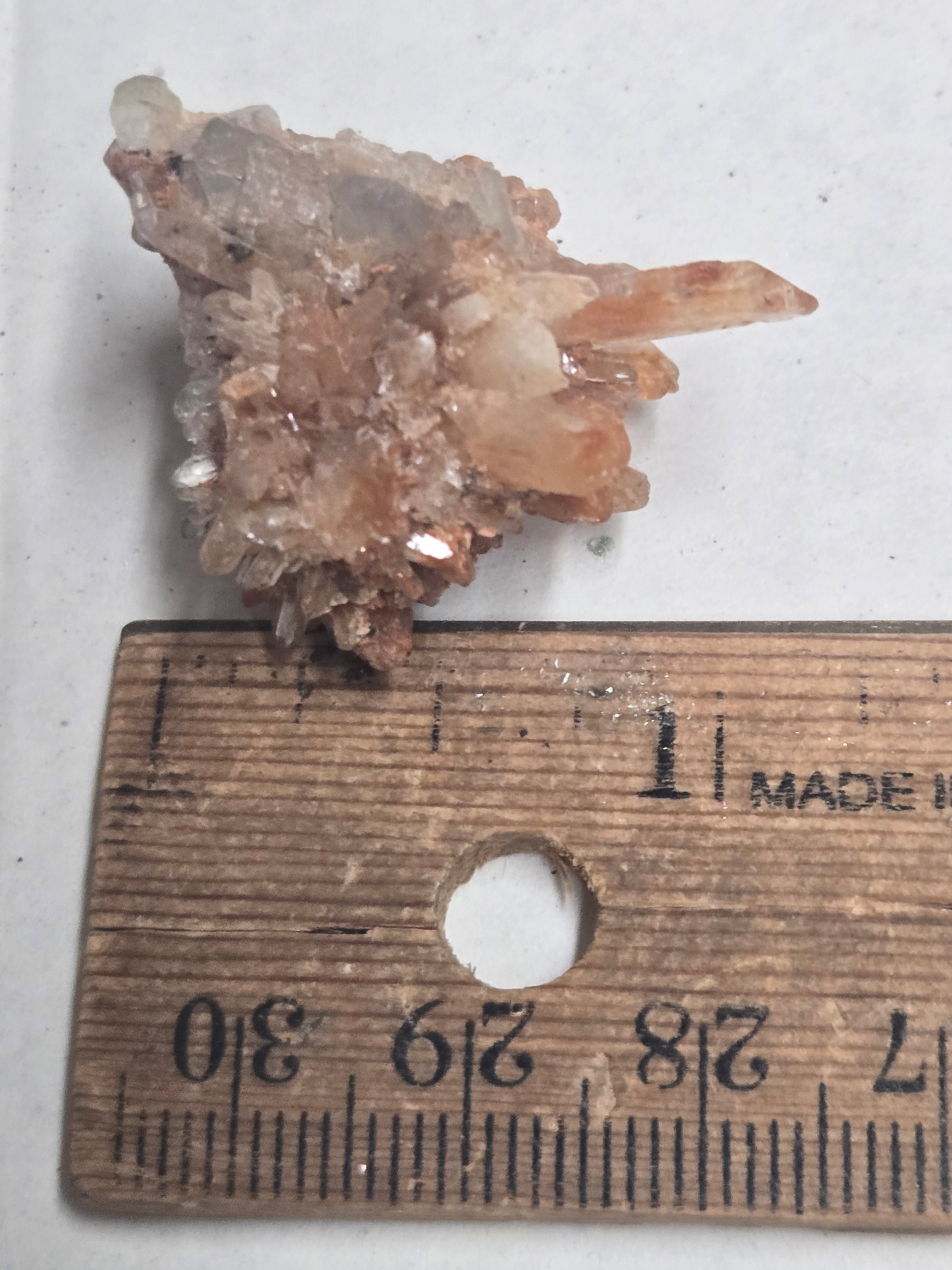 Creedite