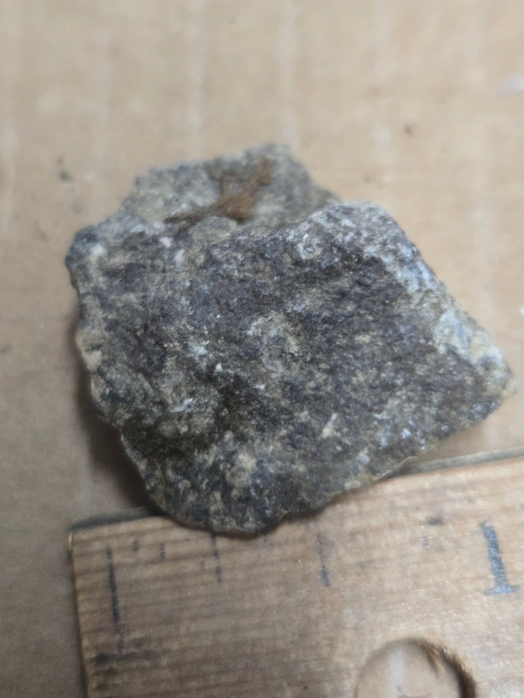 Dollaseite Ce Cerite Ce