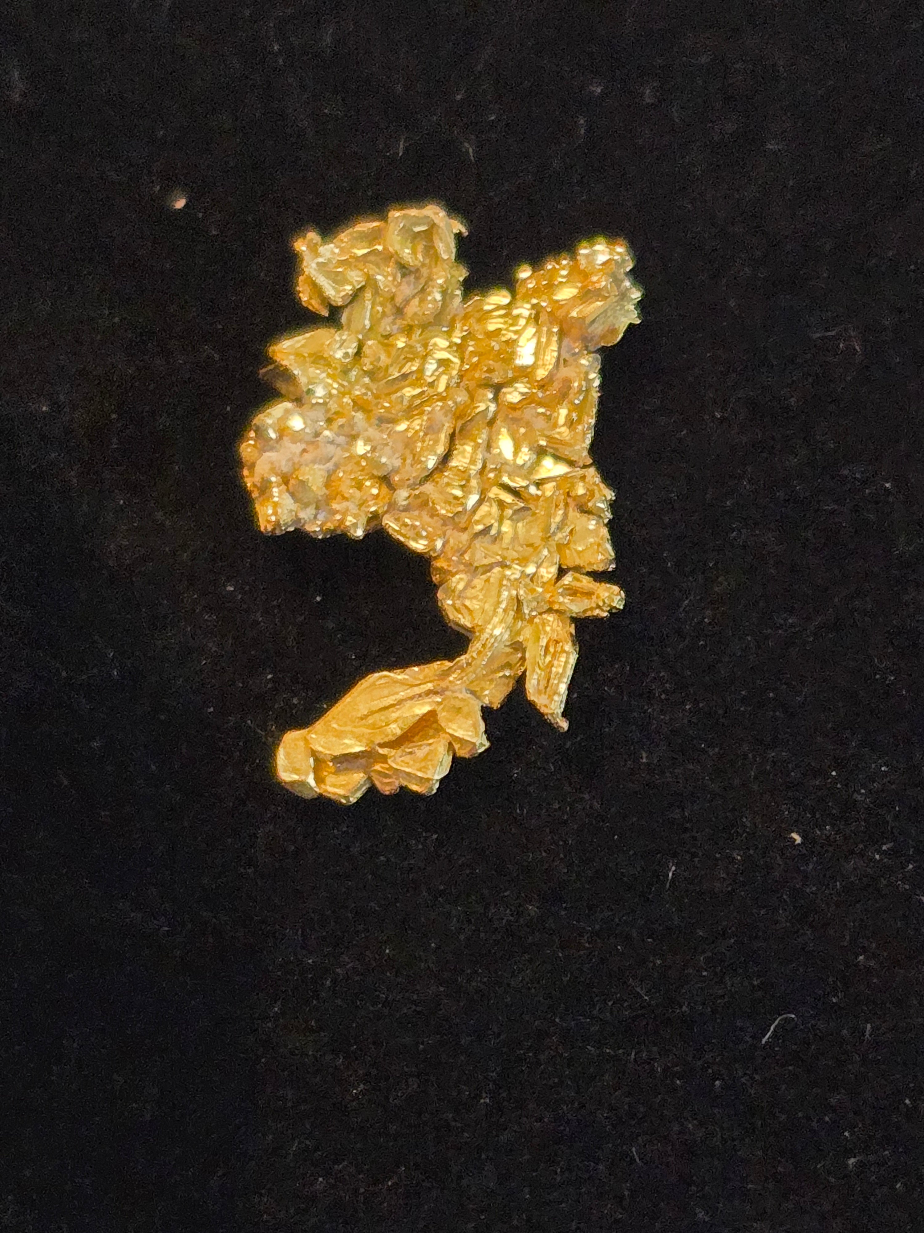 Gold specimen from Eagle's Nest