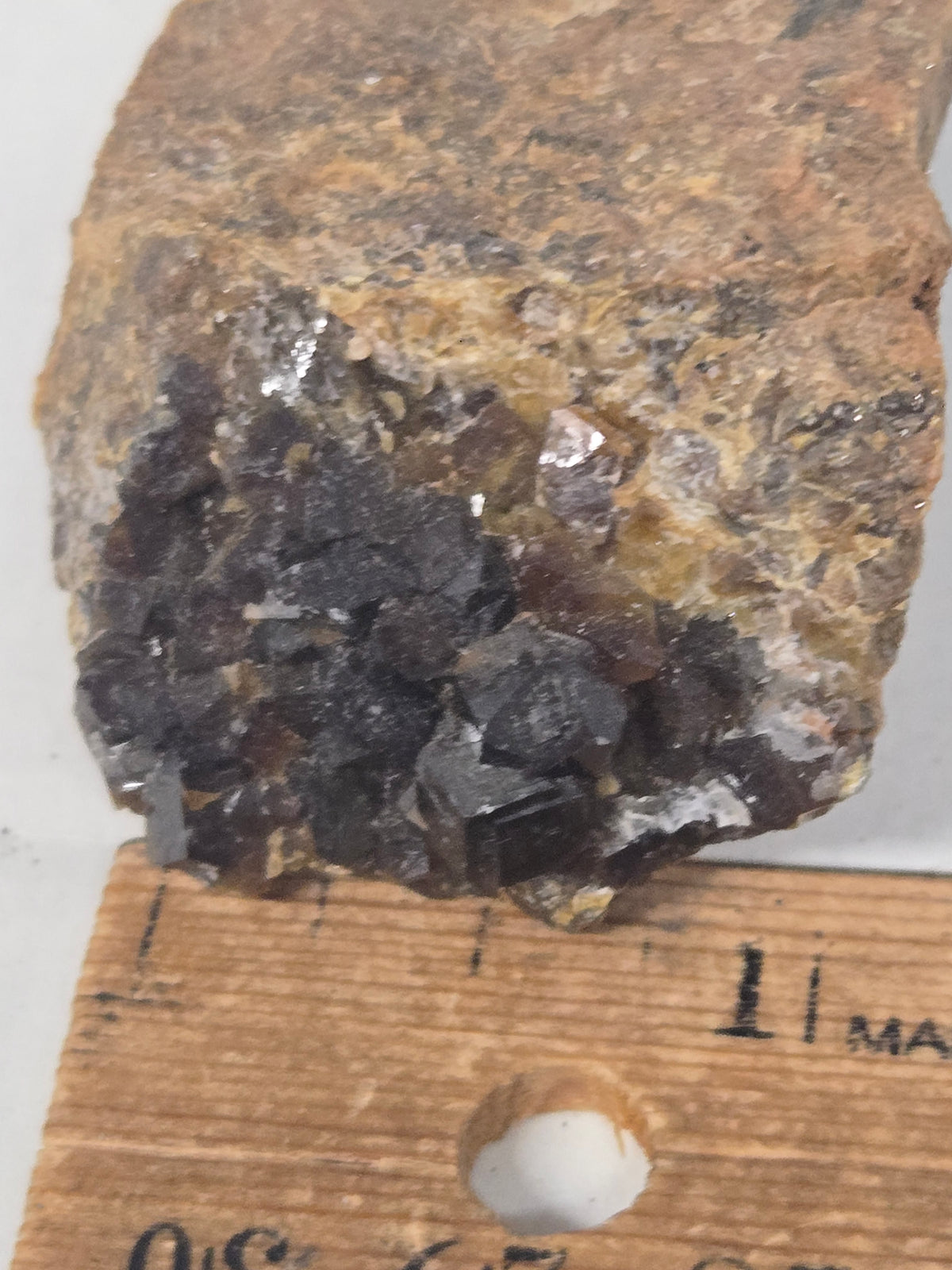 Andradite garnet