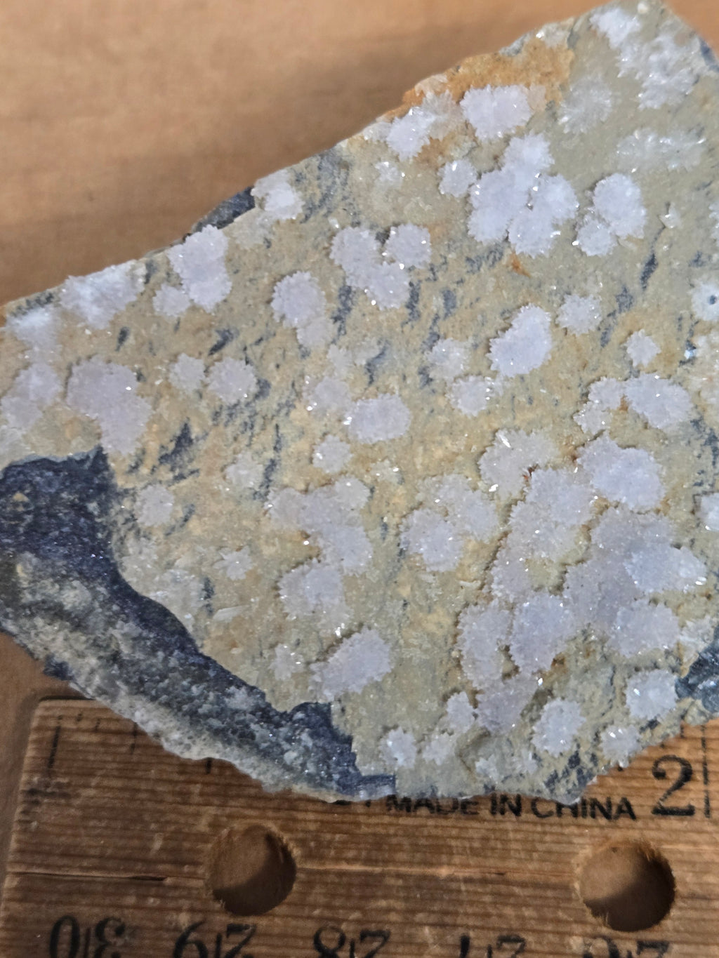 Creedite