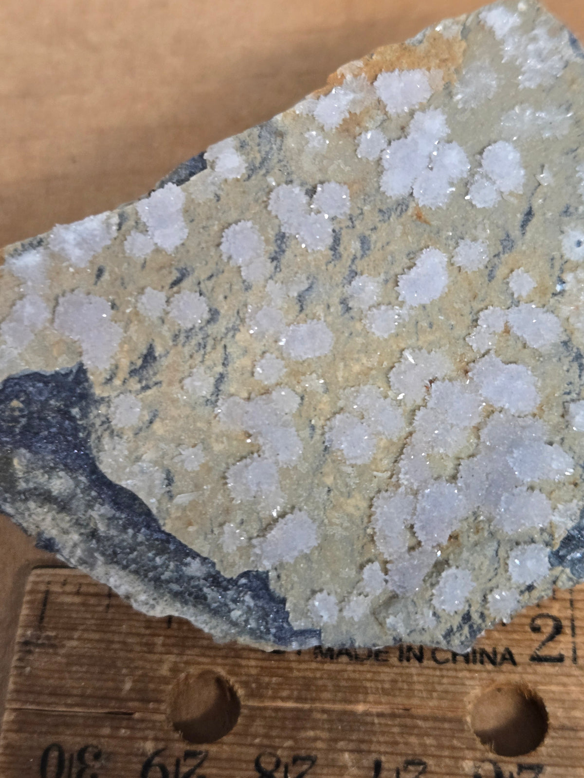 Creedite