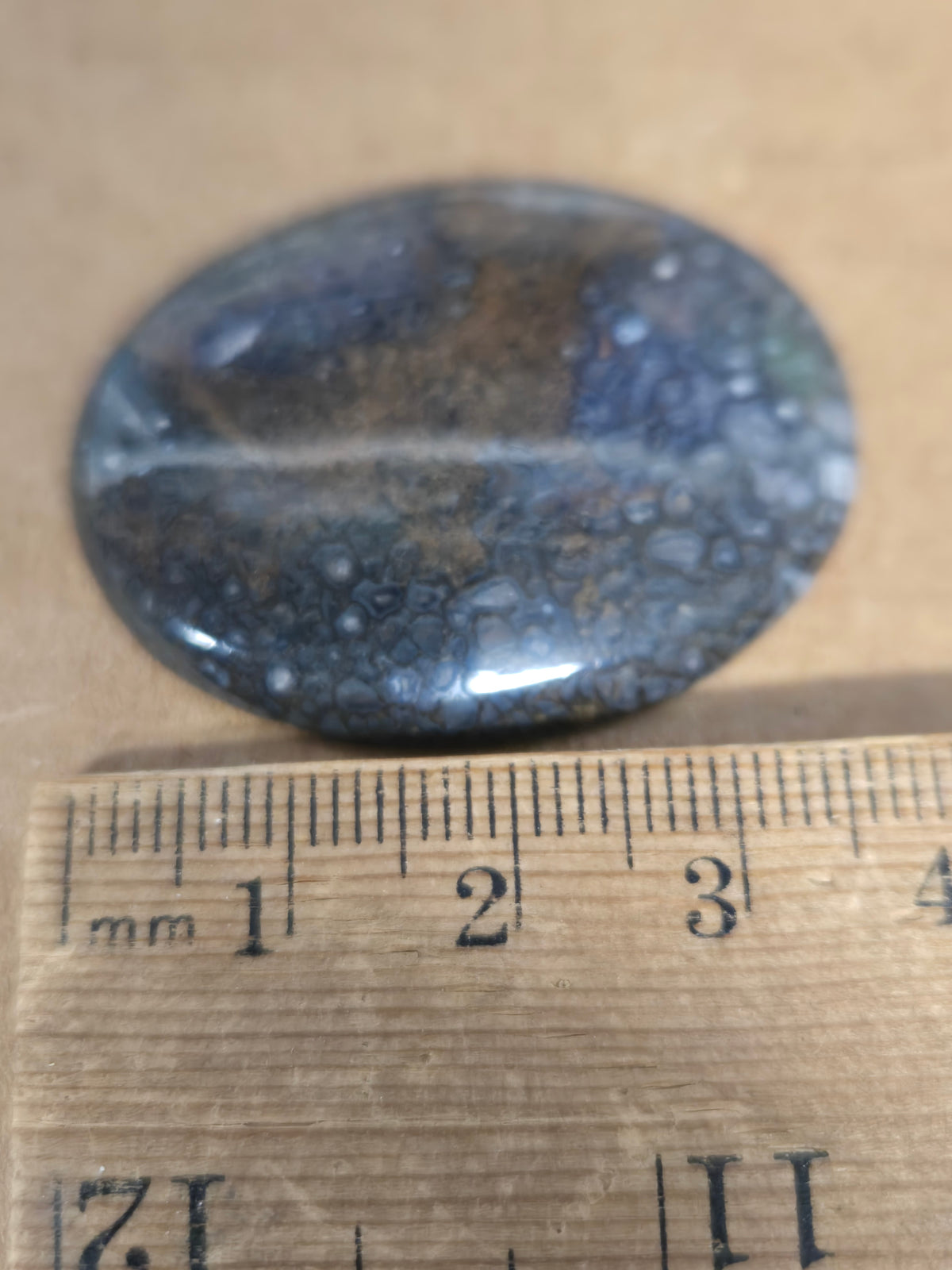 Dinosaur Bone Cabochon