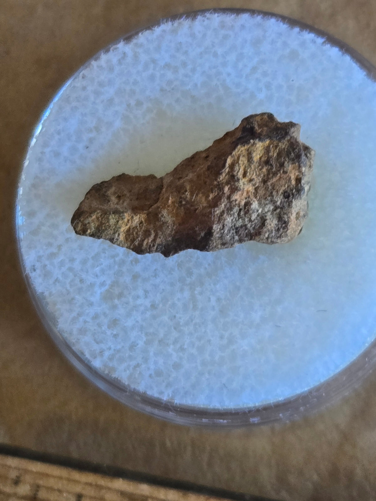 NWA 6336 Meteorite