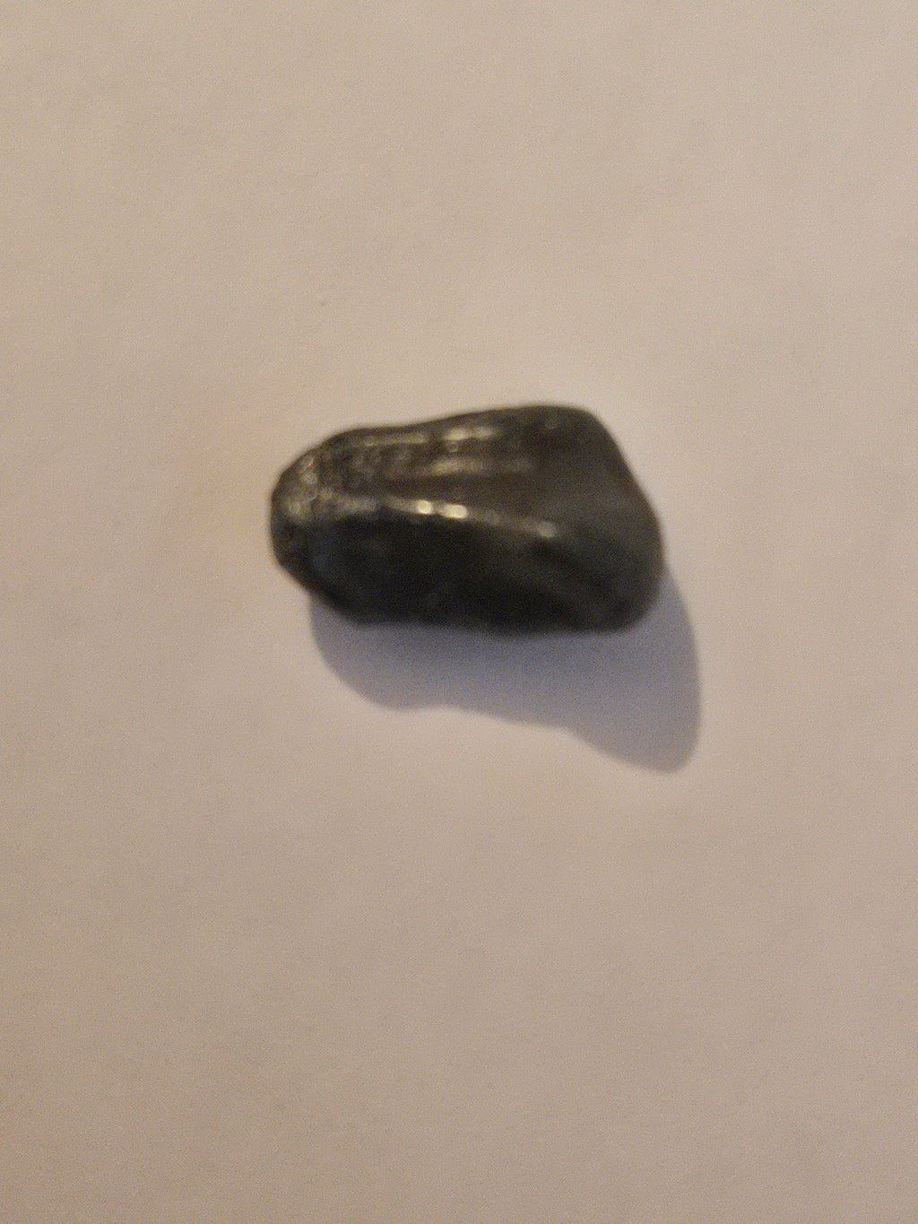 Sikhote Alin meteorite specimen