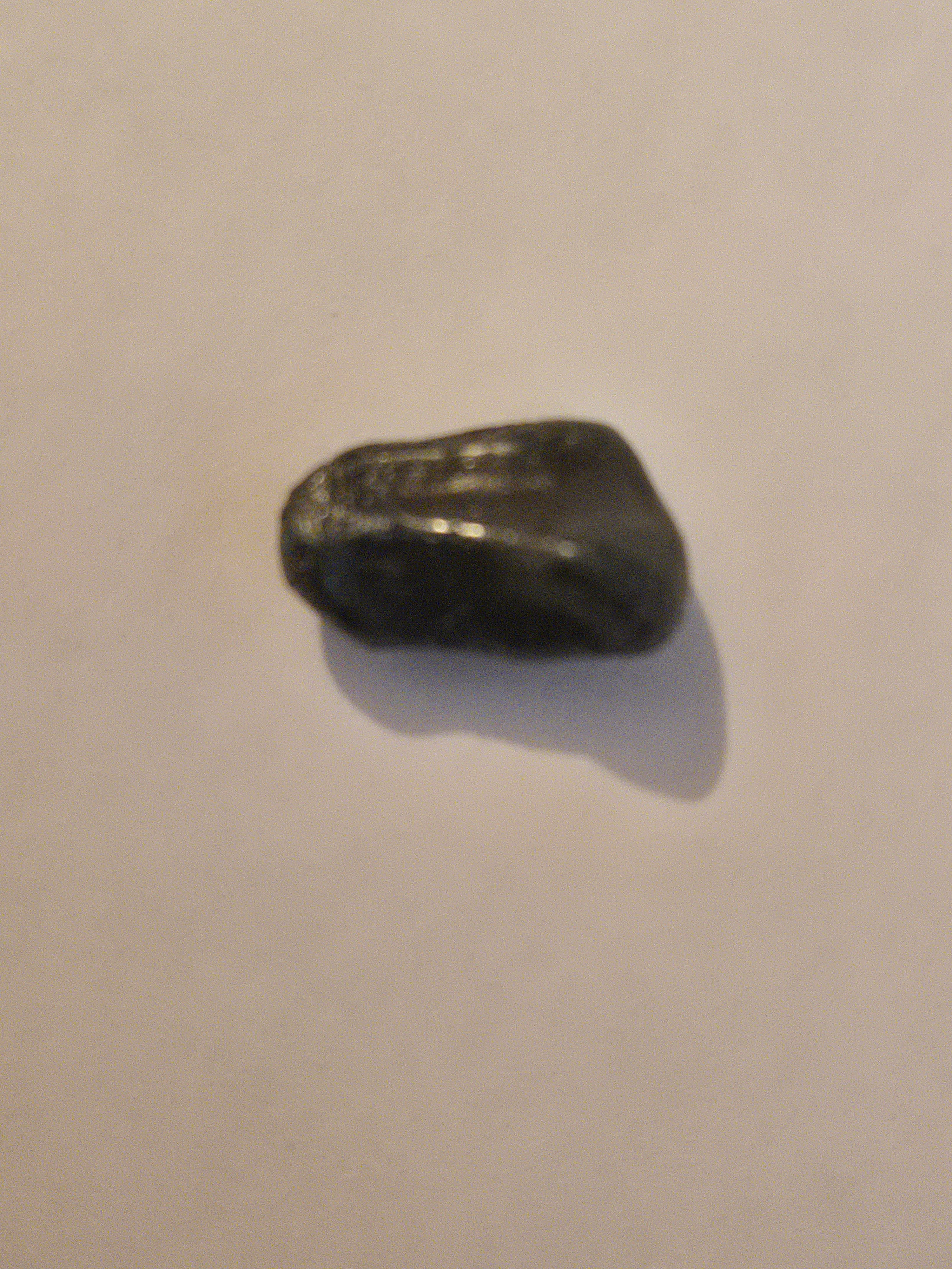 Sikhote Alin meteorite specimen