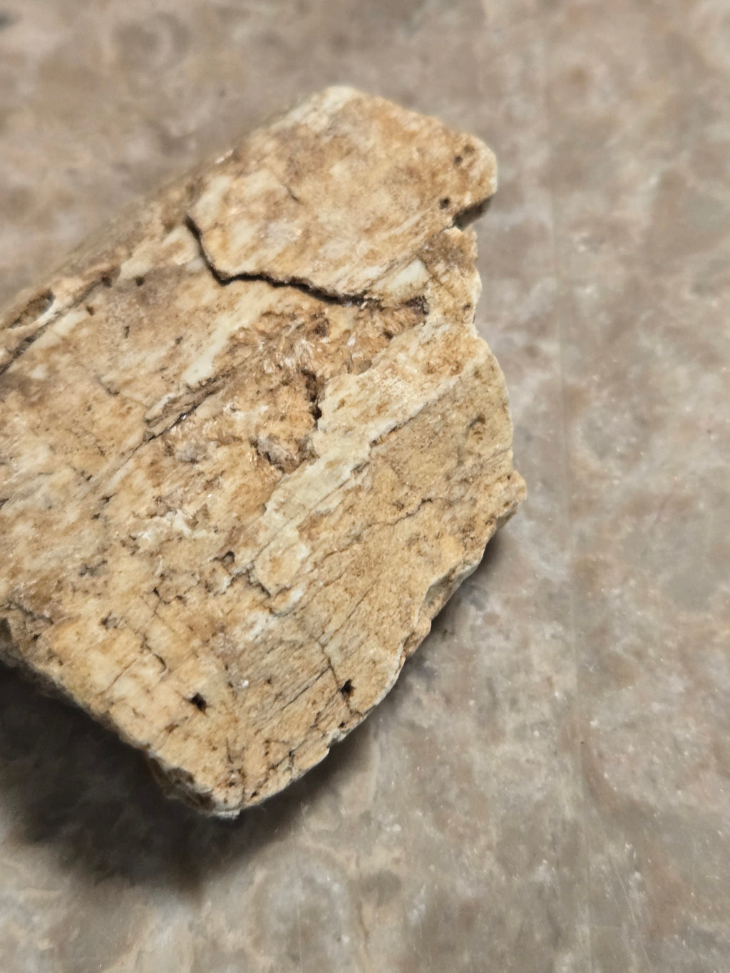 Tremolite after diopside