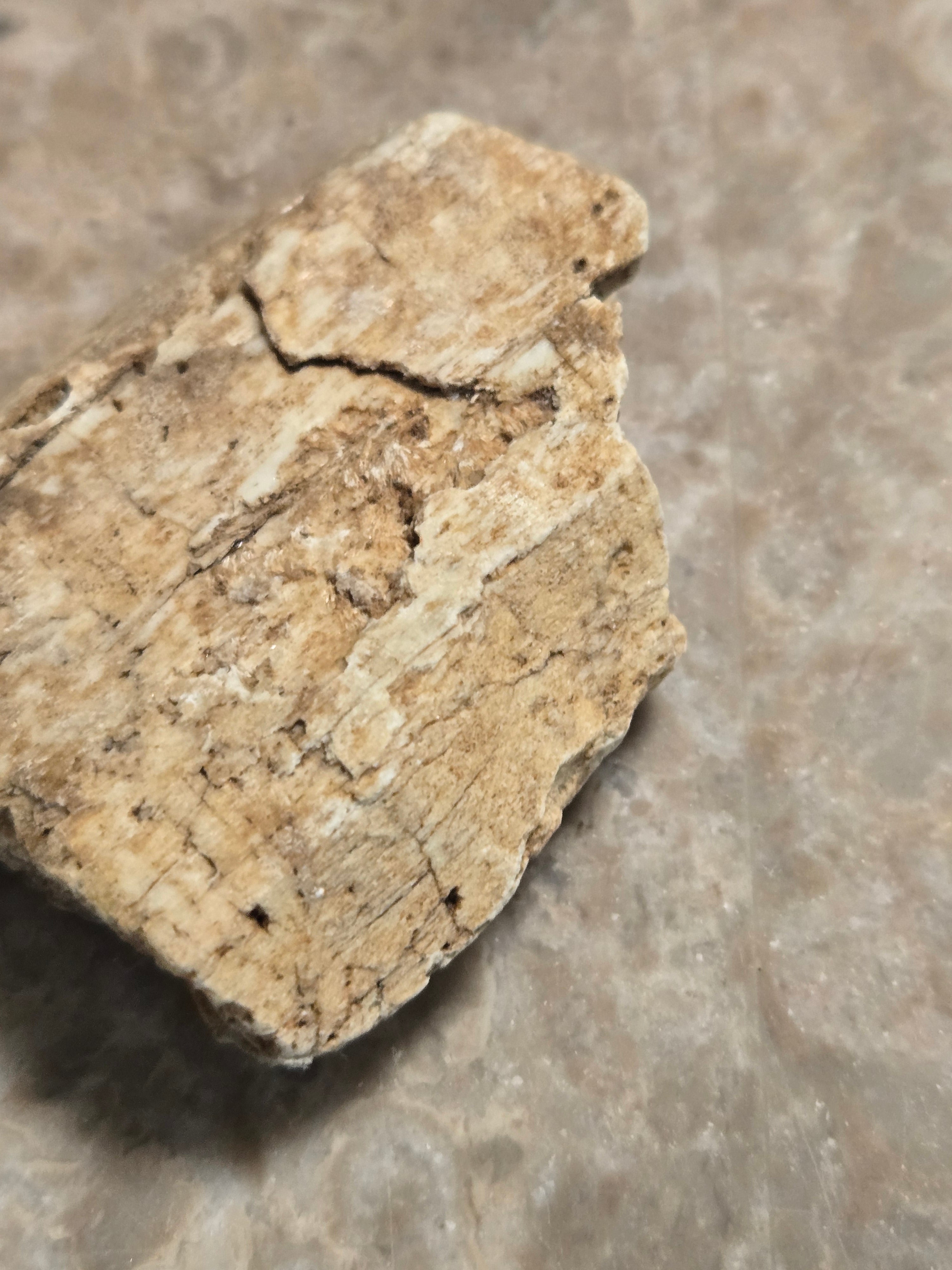 Tremolite after diopside