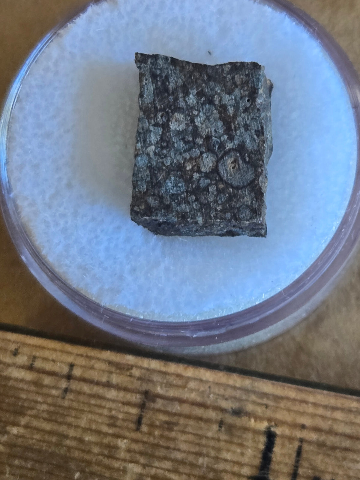NWA 11615 Meteorite