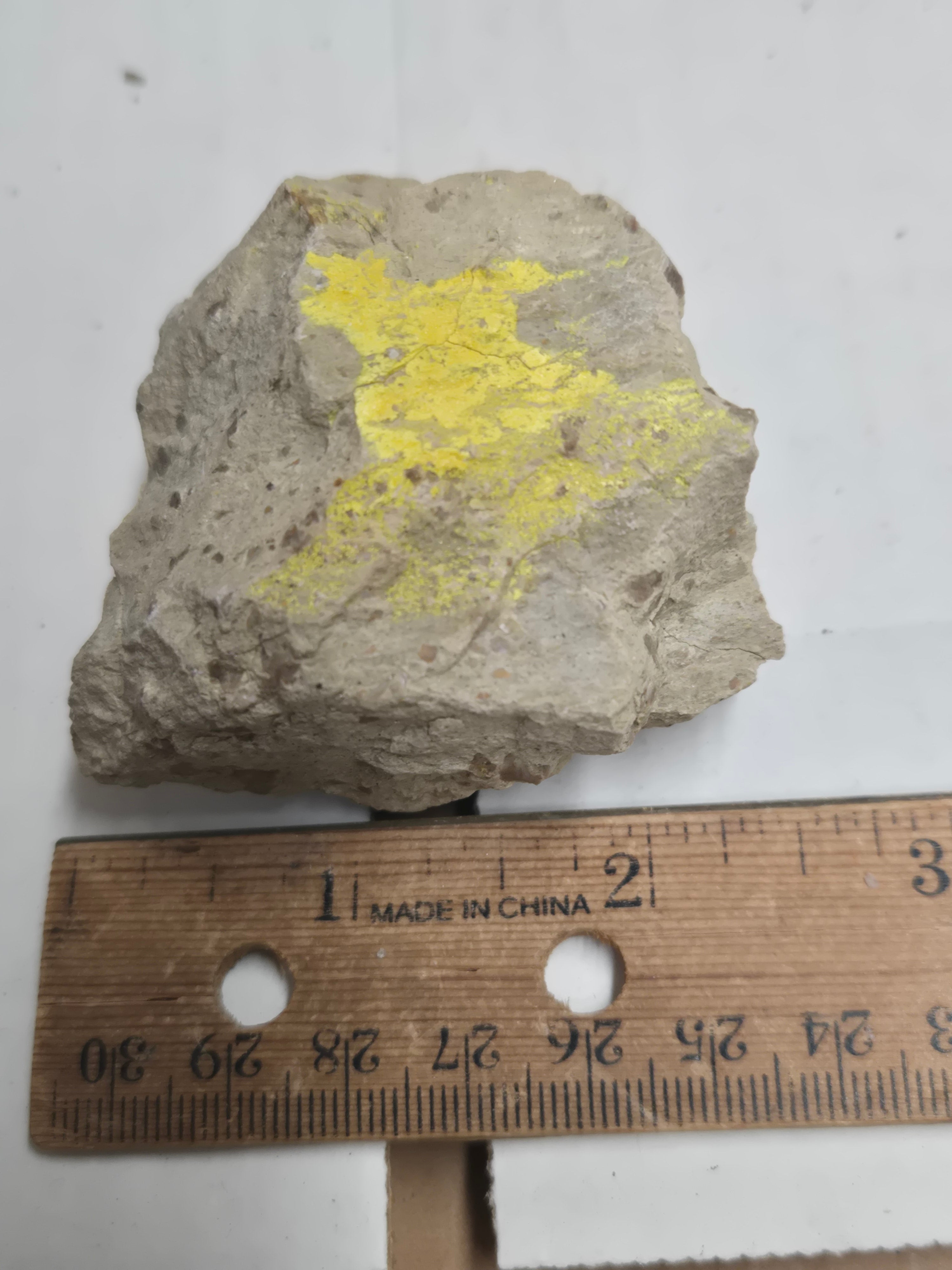Carnotite specimen