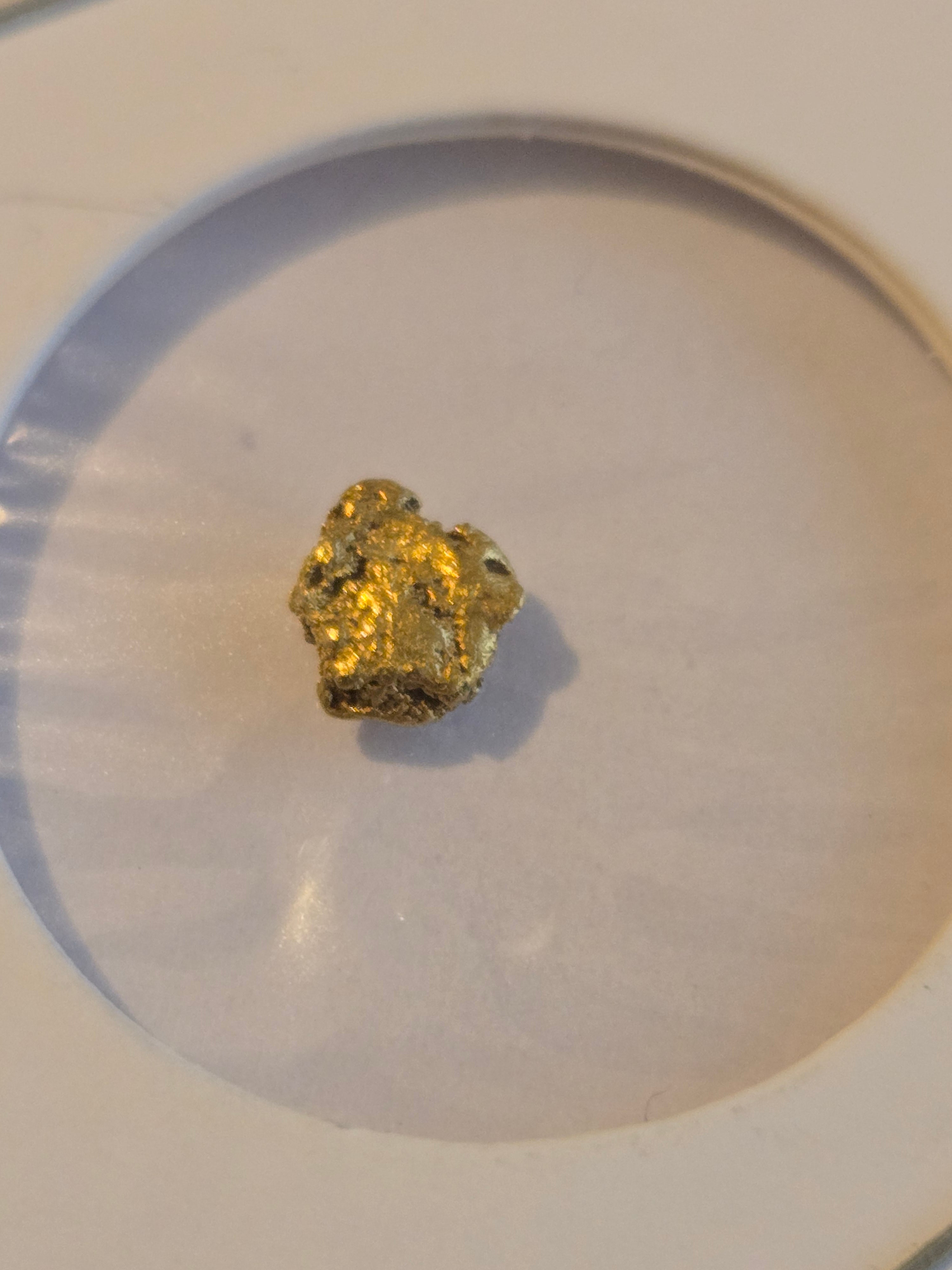 Gold nugget Alaska