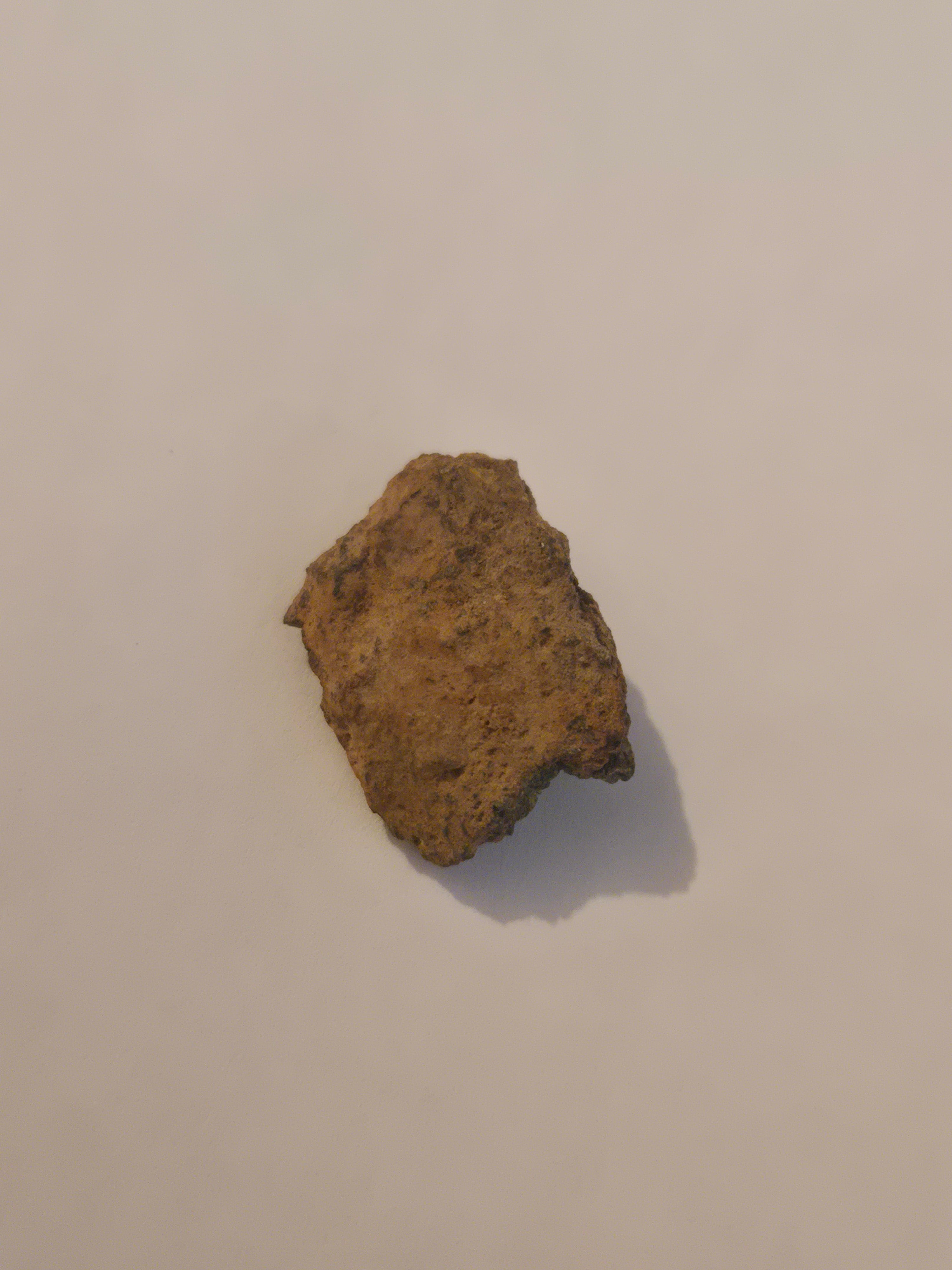 Vaca Muerta meteorite specimen