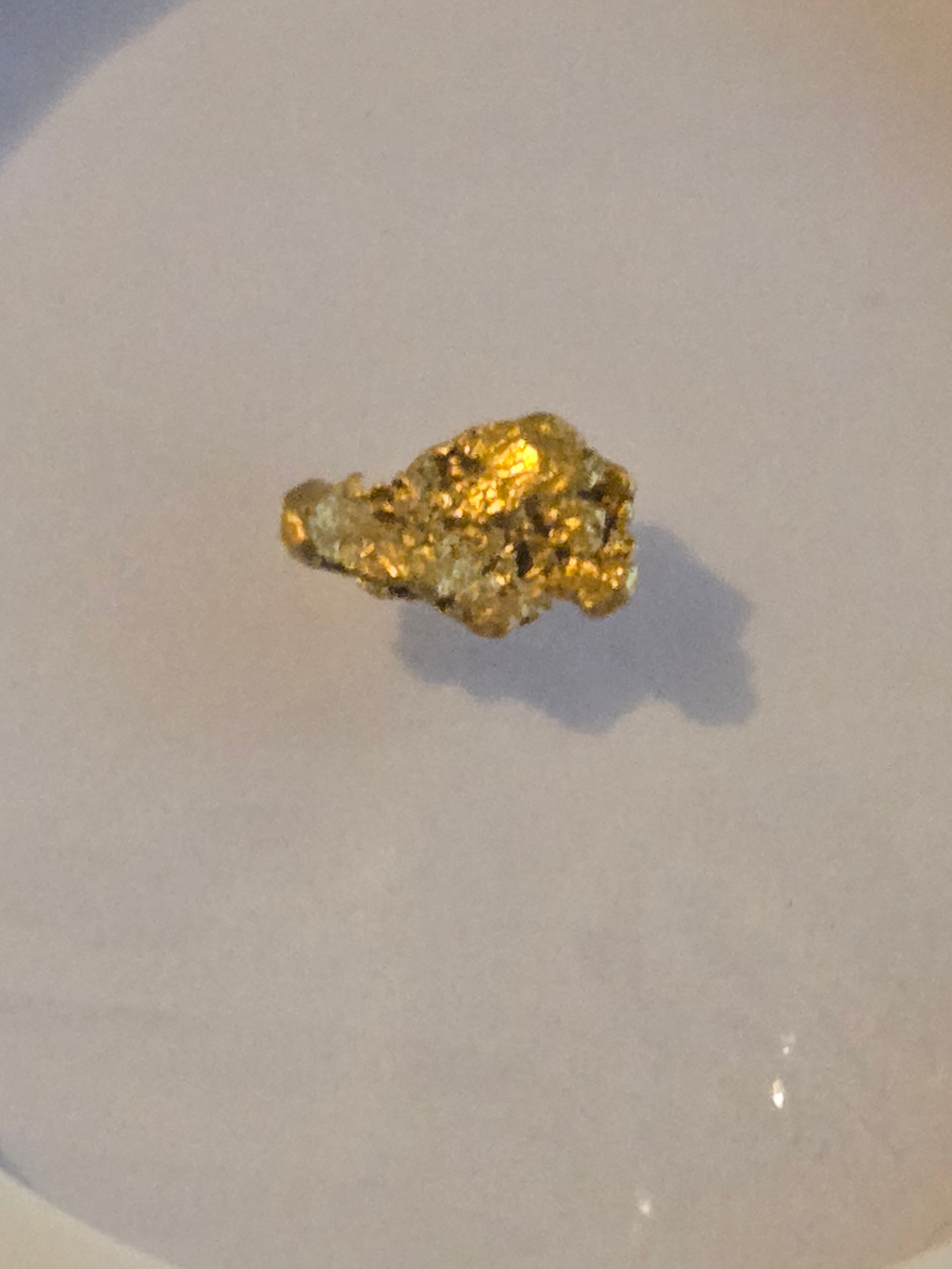 Gold nugget Alaska