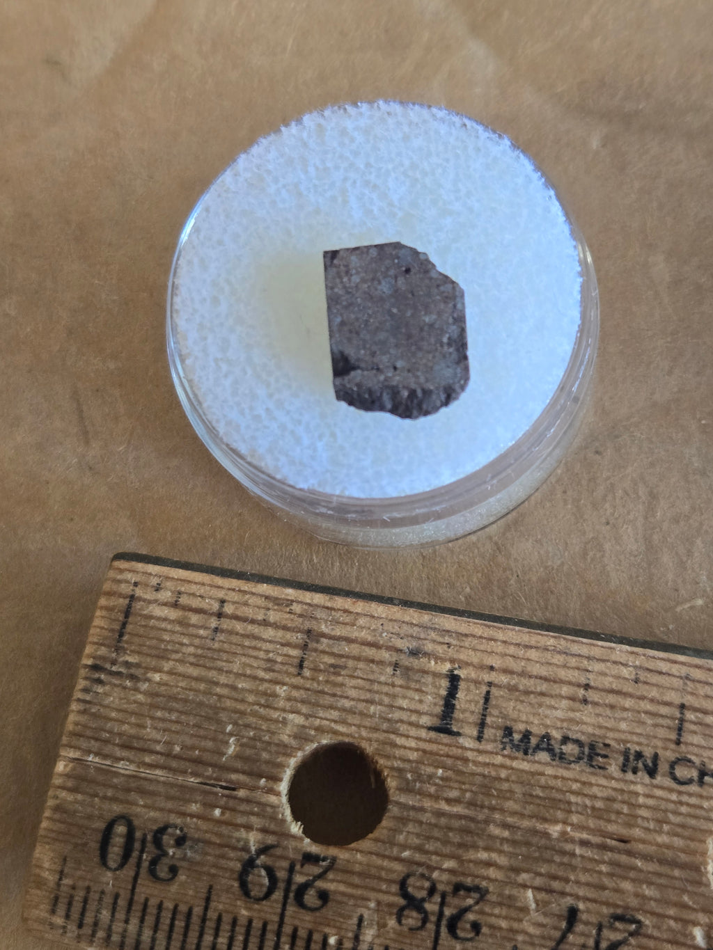 NWA 7487 Meteorite