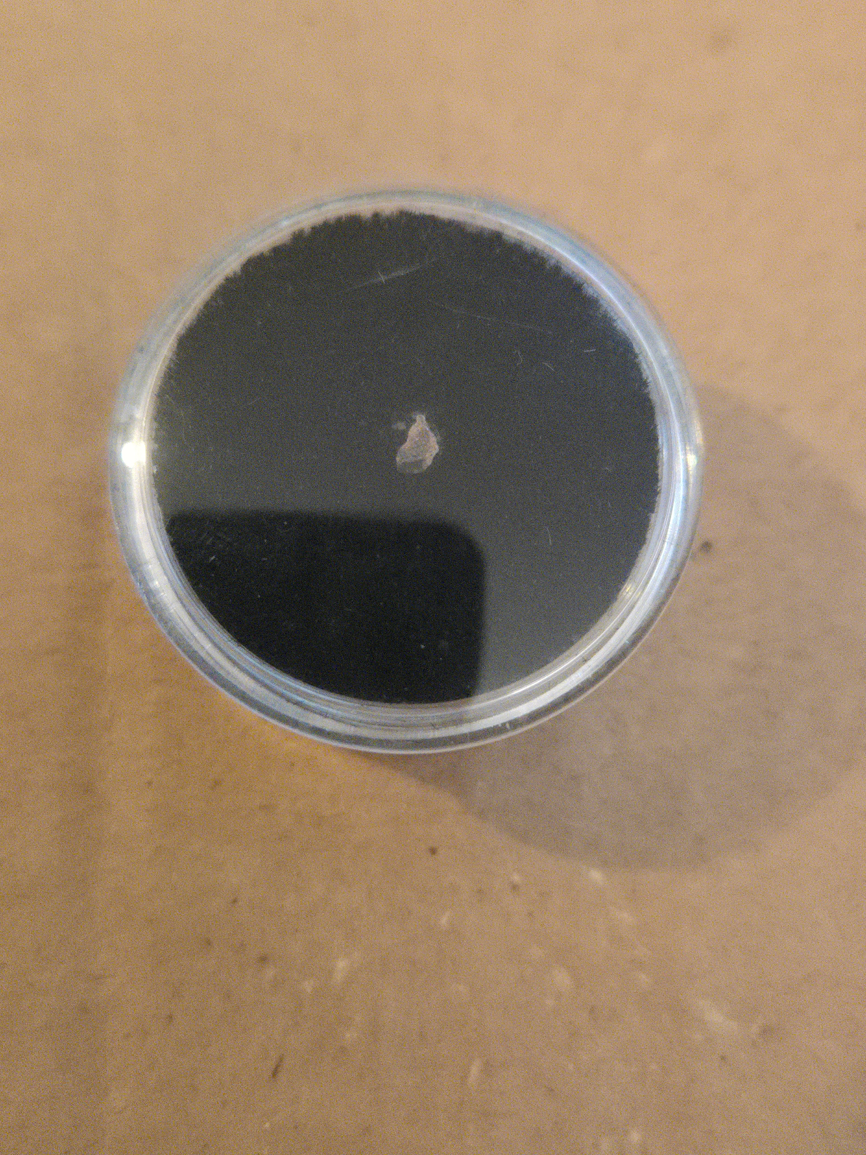 NWA 6337 meteorite