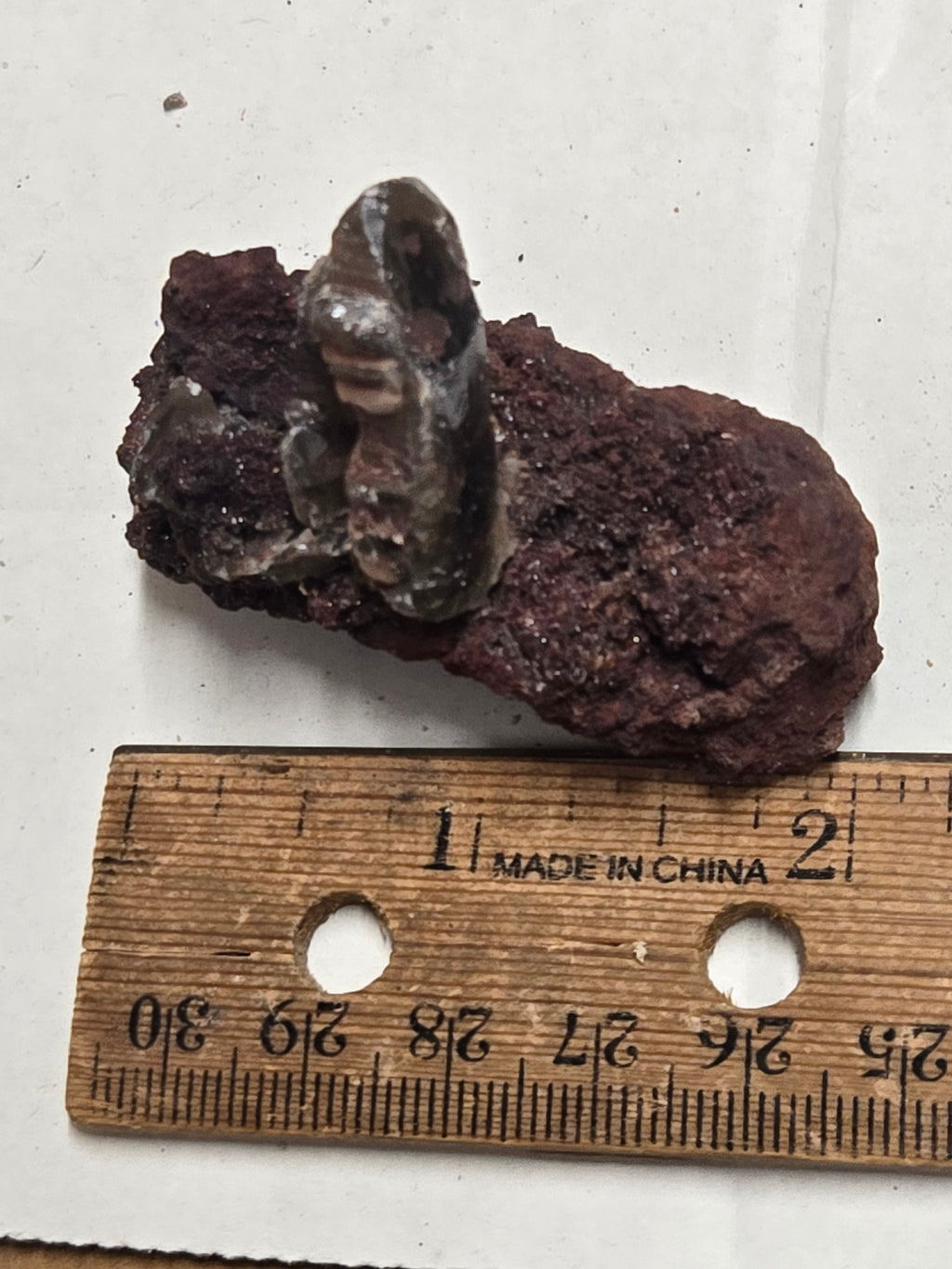 Anglesite specimen