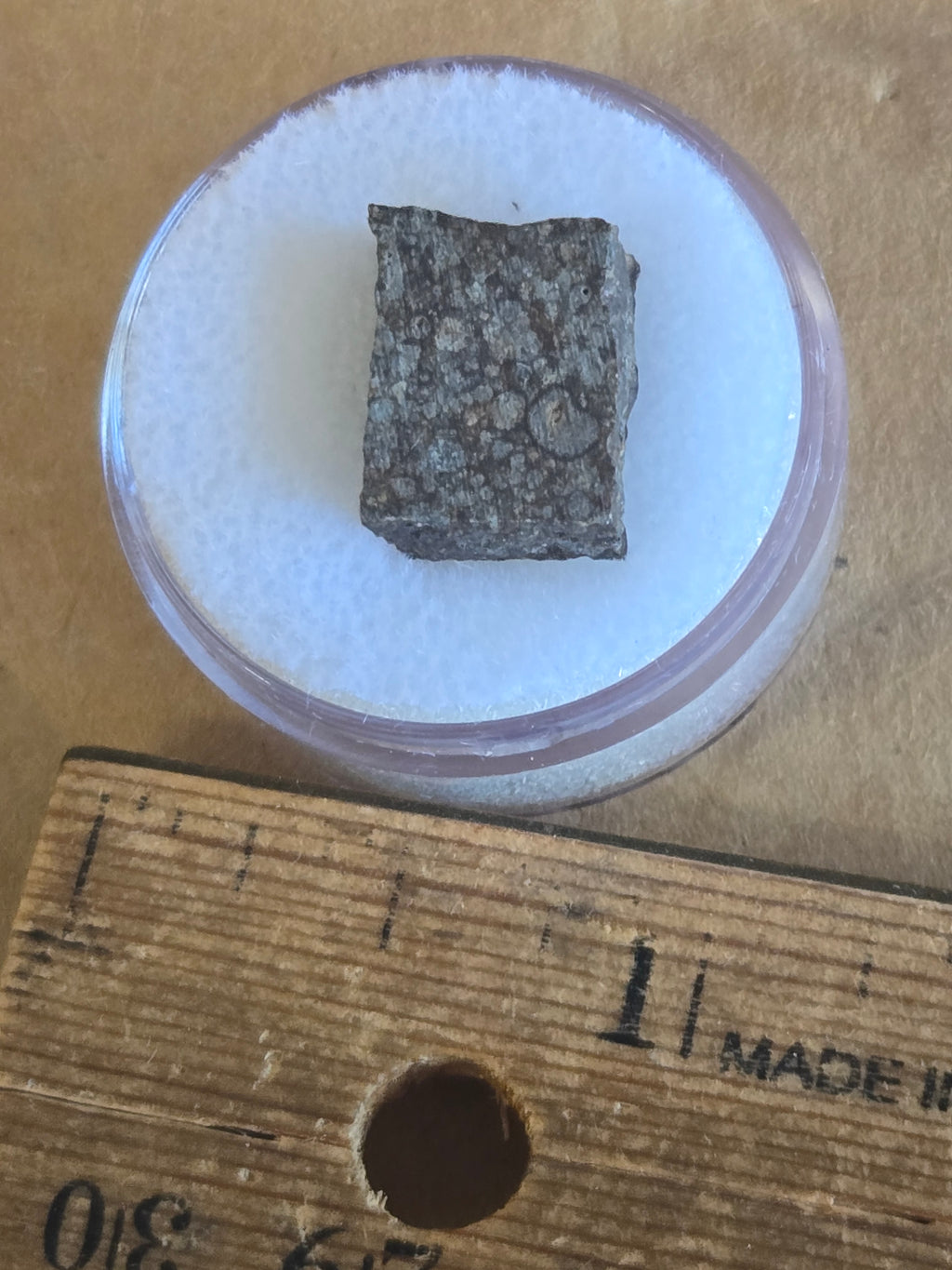NWA 11615 Meteorite