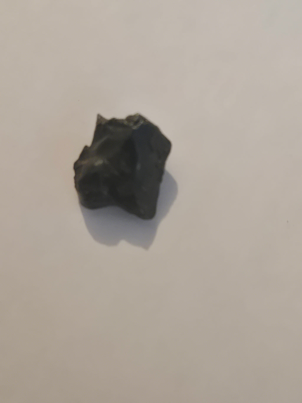 Sikhote Alin meteorite specimen