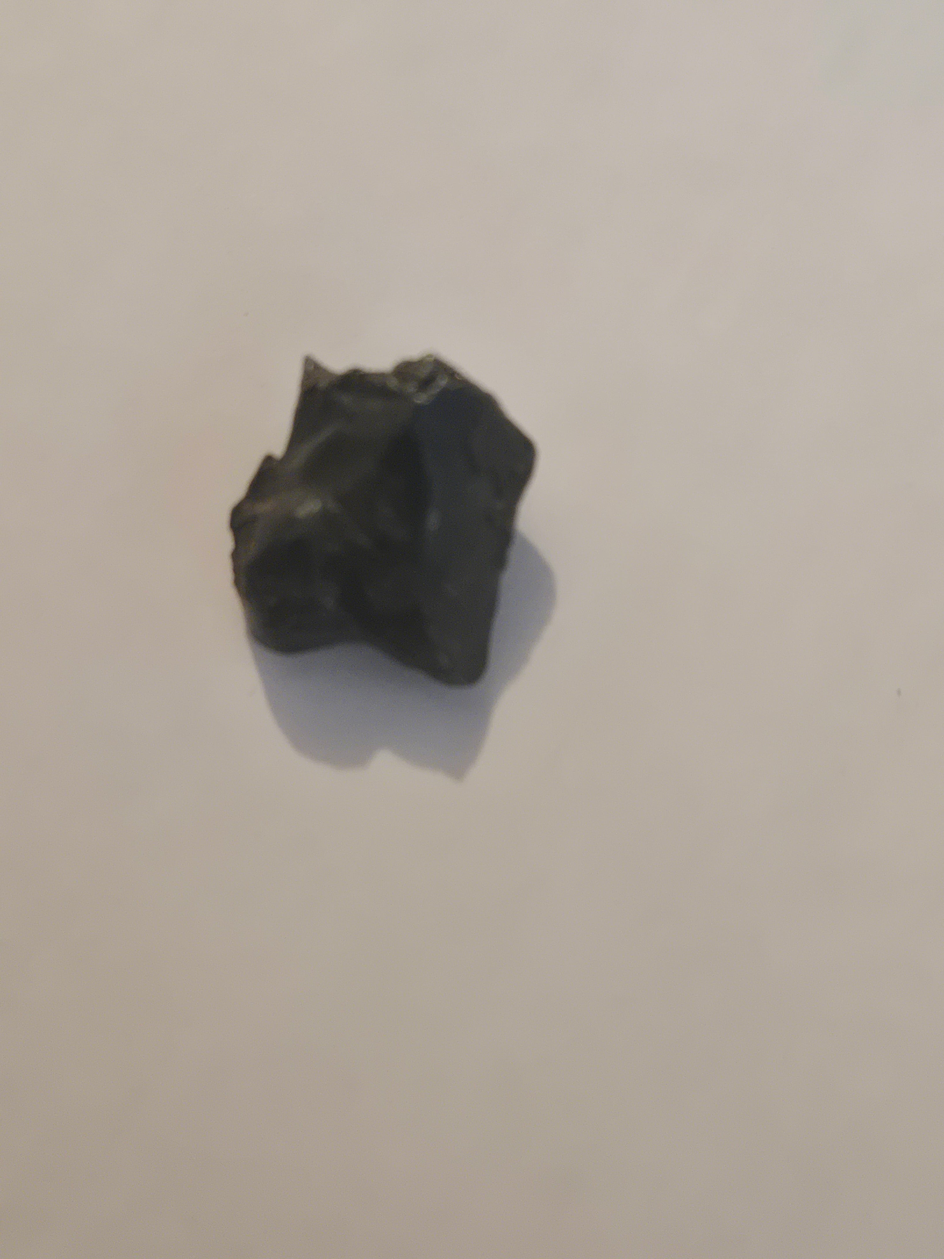 Sikhote Alin meteorite specimen