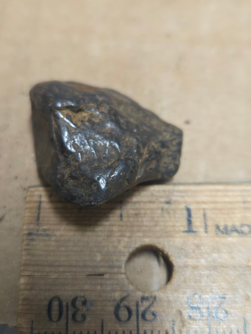 Canyon Diablo Meteorite