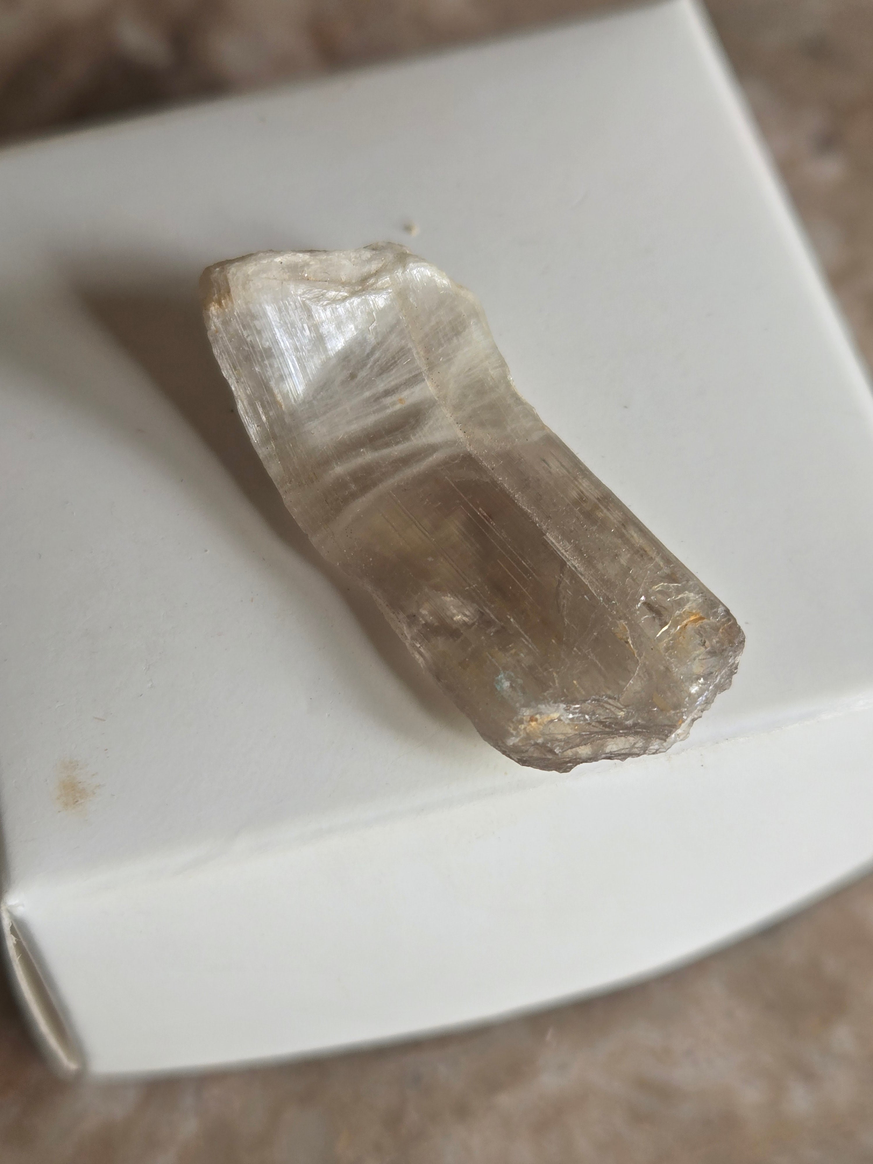 Diaspore Specimen