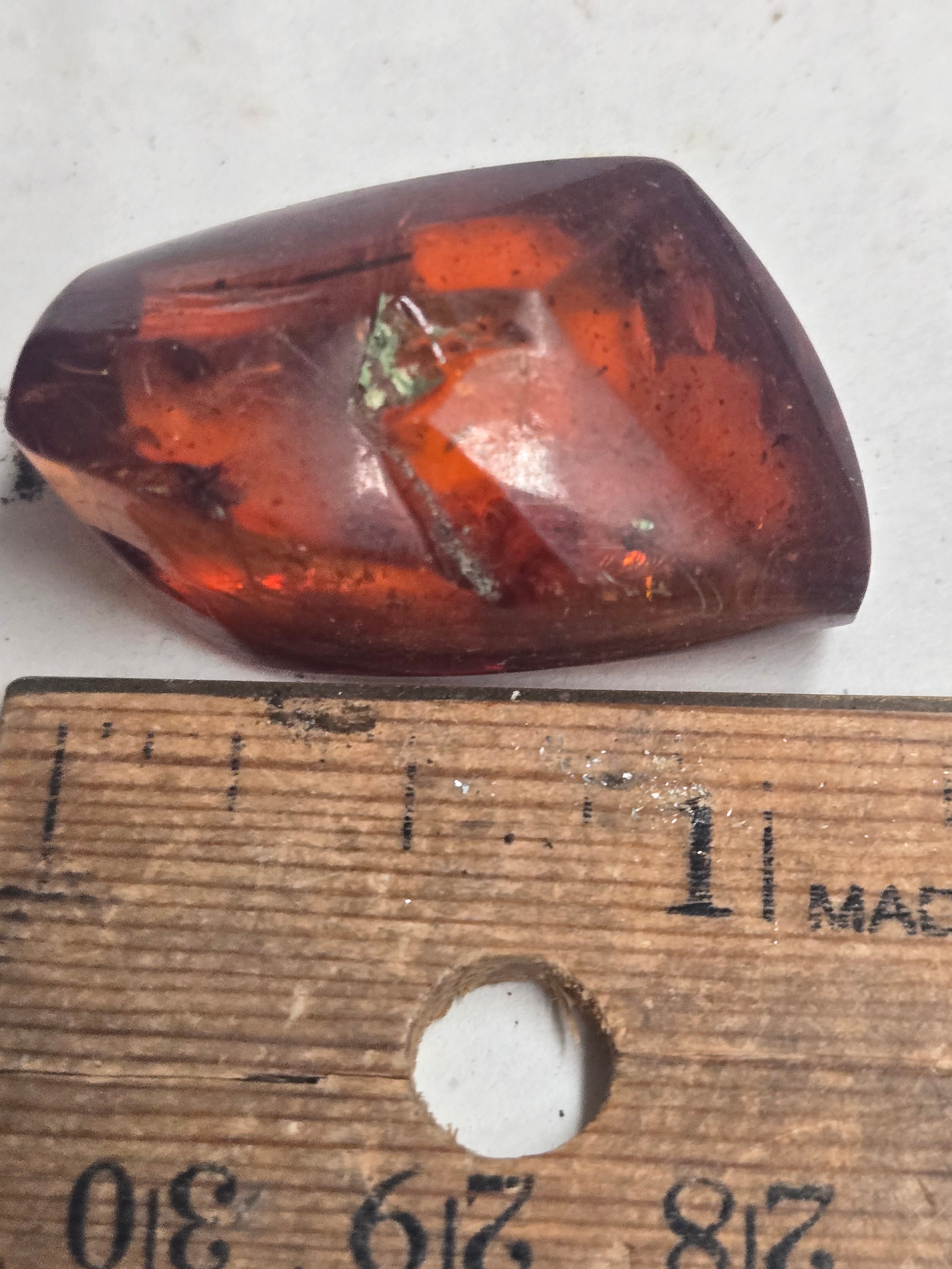 Baltic Amber polished