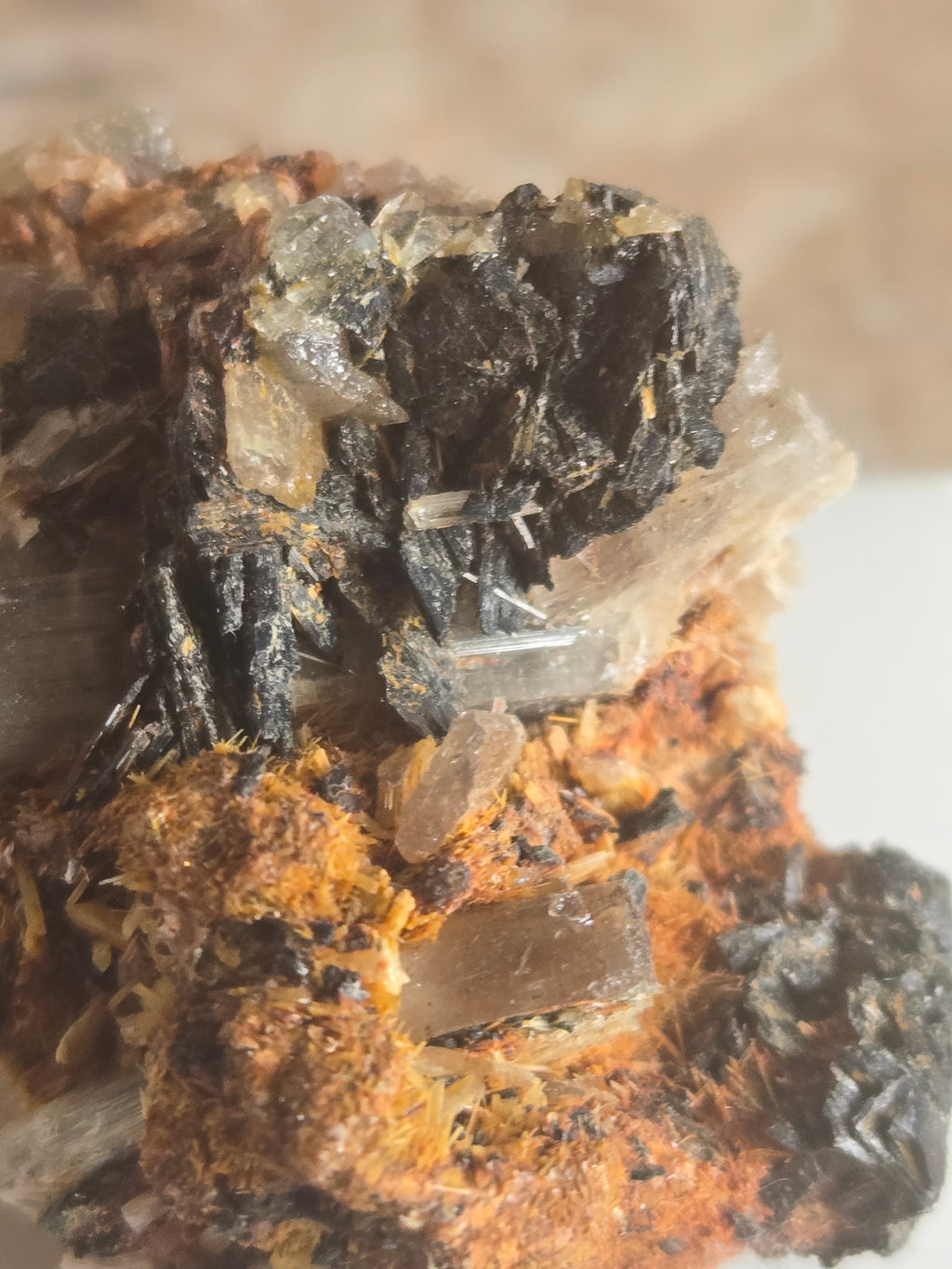 Diaspore Specimen