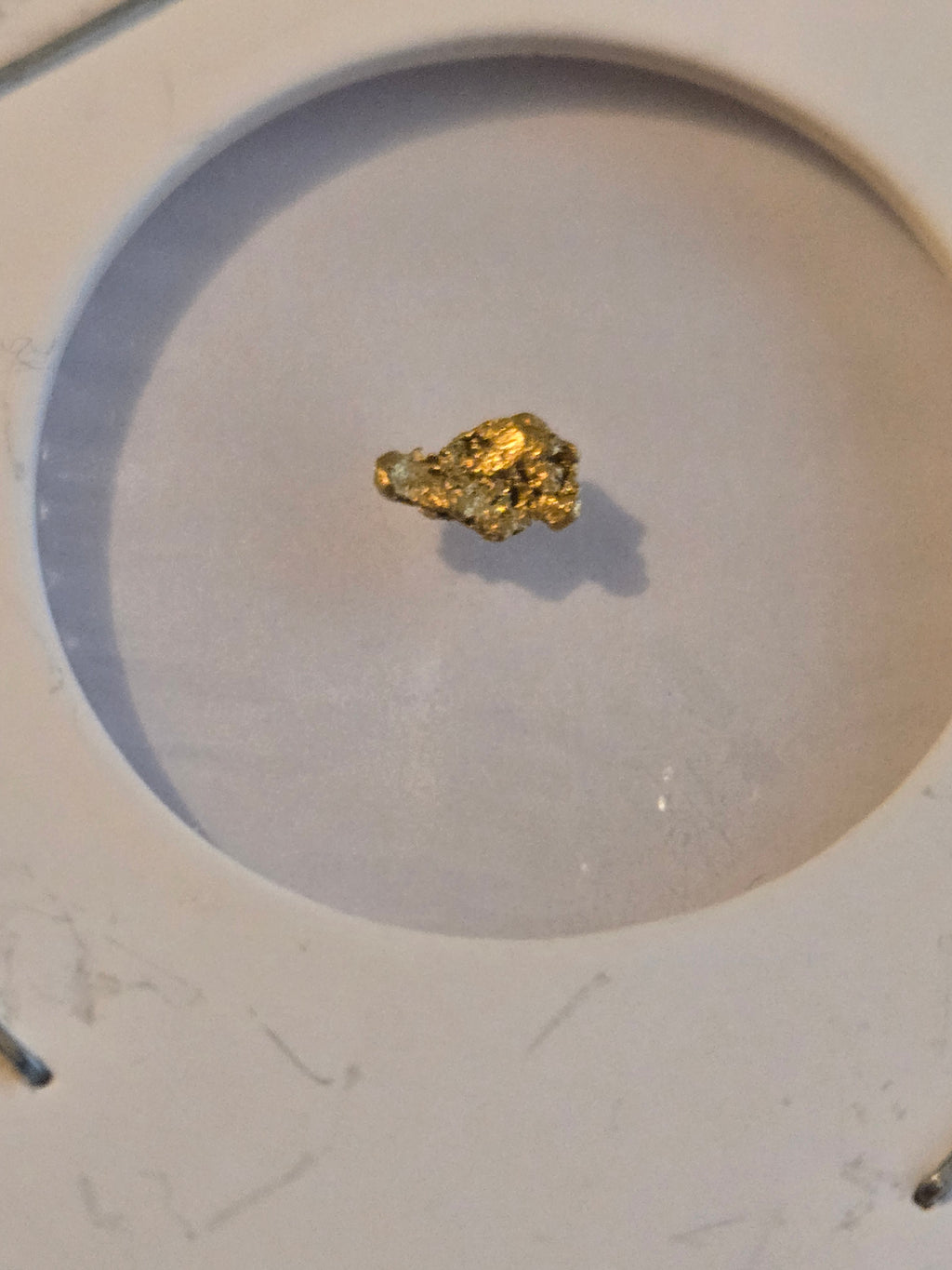 Gold nugget Alaska