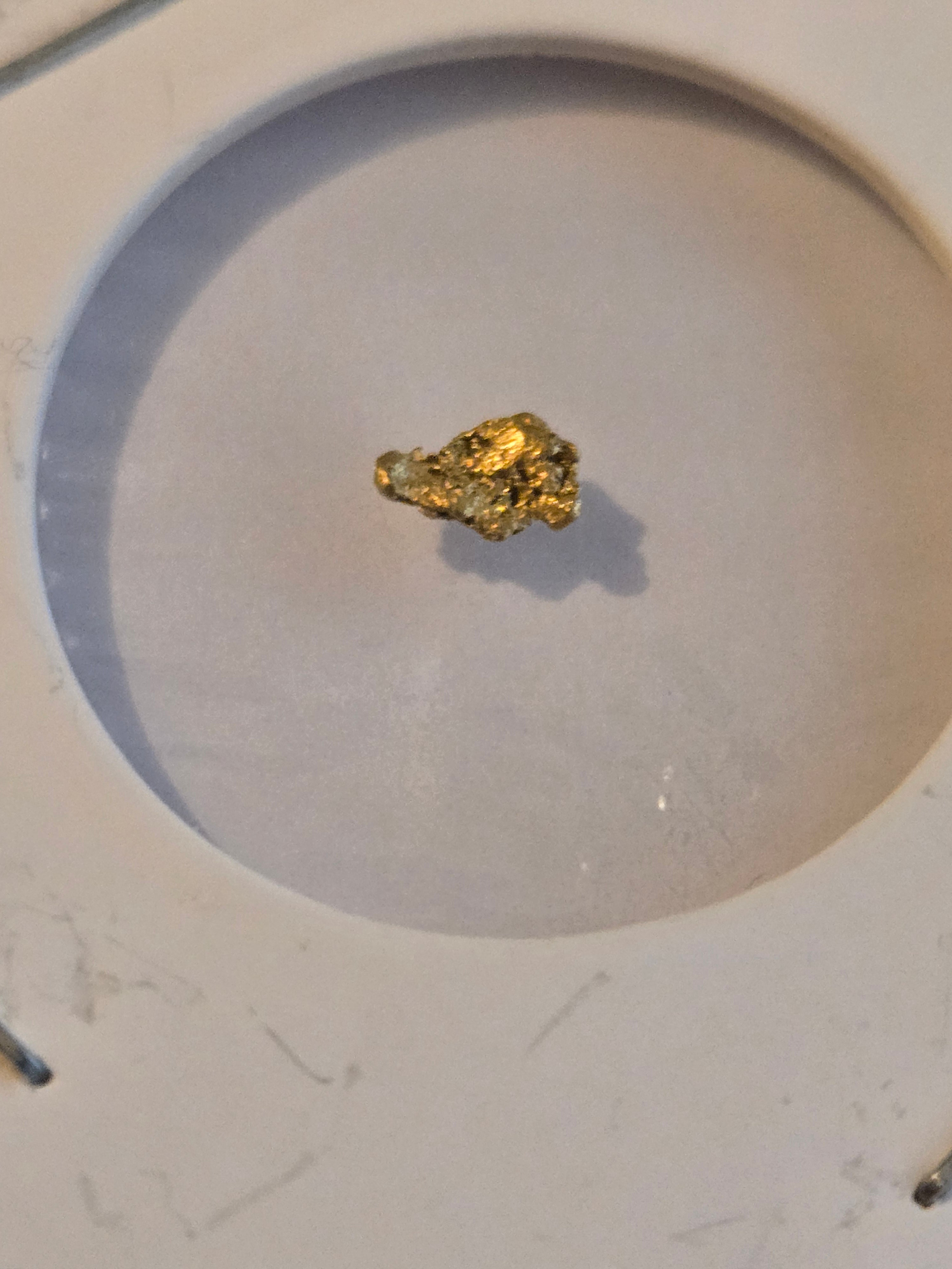 Gold nugget Alaska
