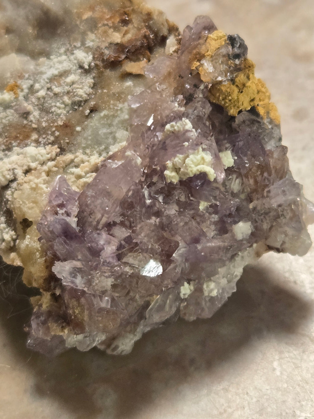 Creedite