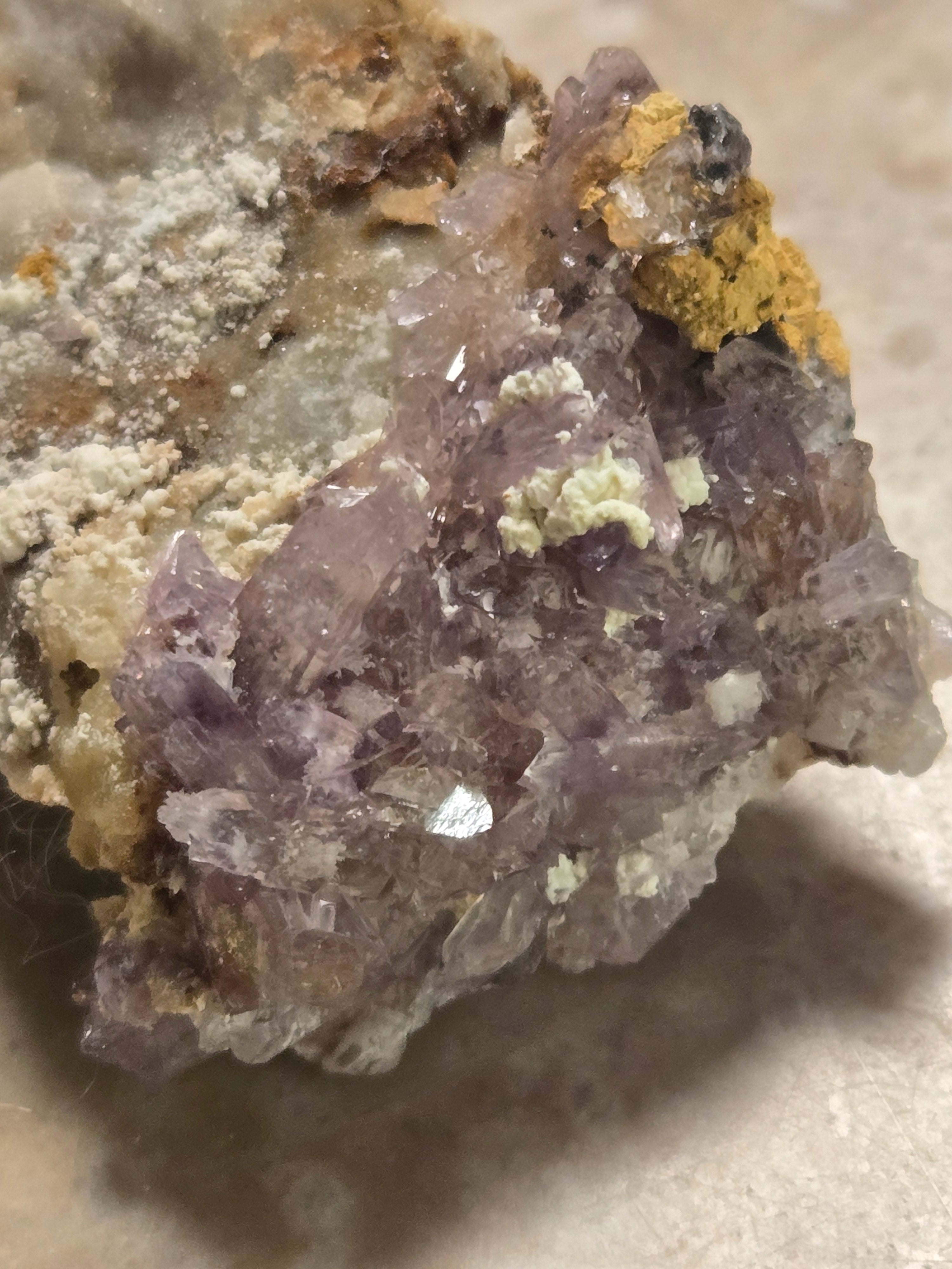 Creedite