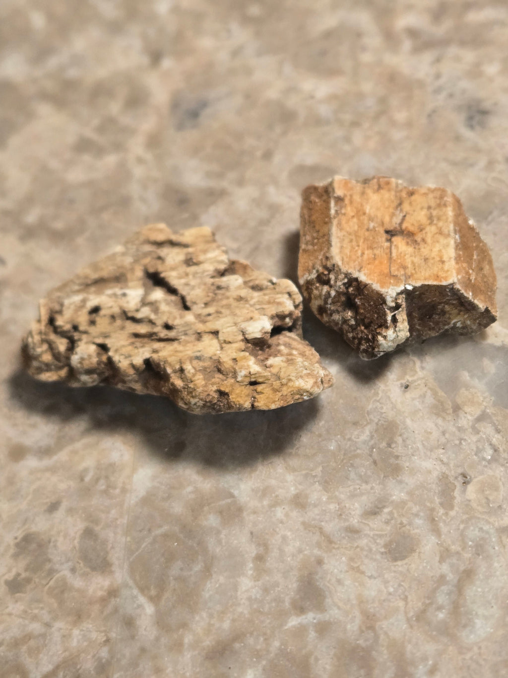 Tremolite after diopside