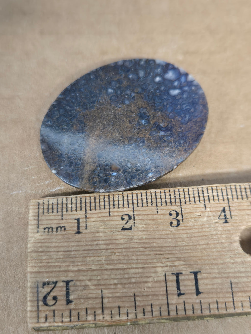 Dinosaur Bone Cabochon
