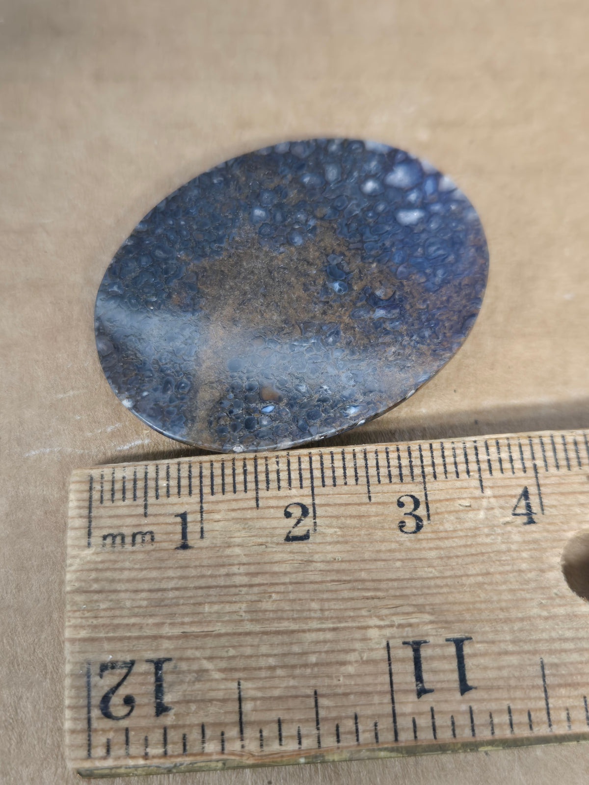 Dinosaur Bone Cabochon