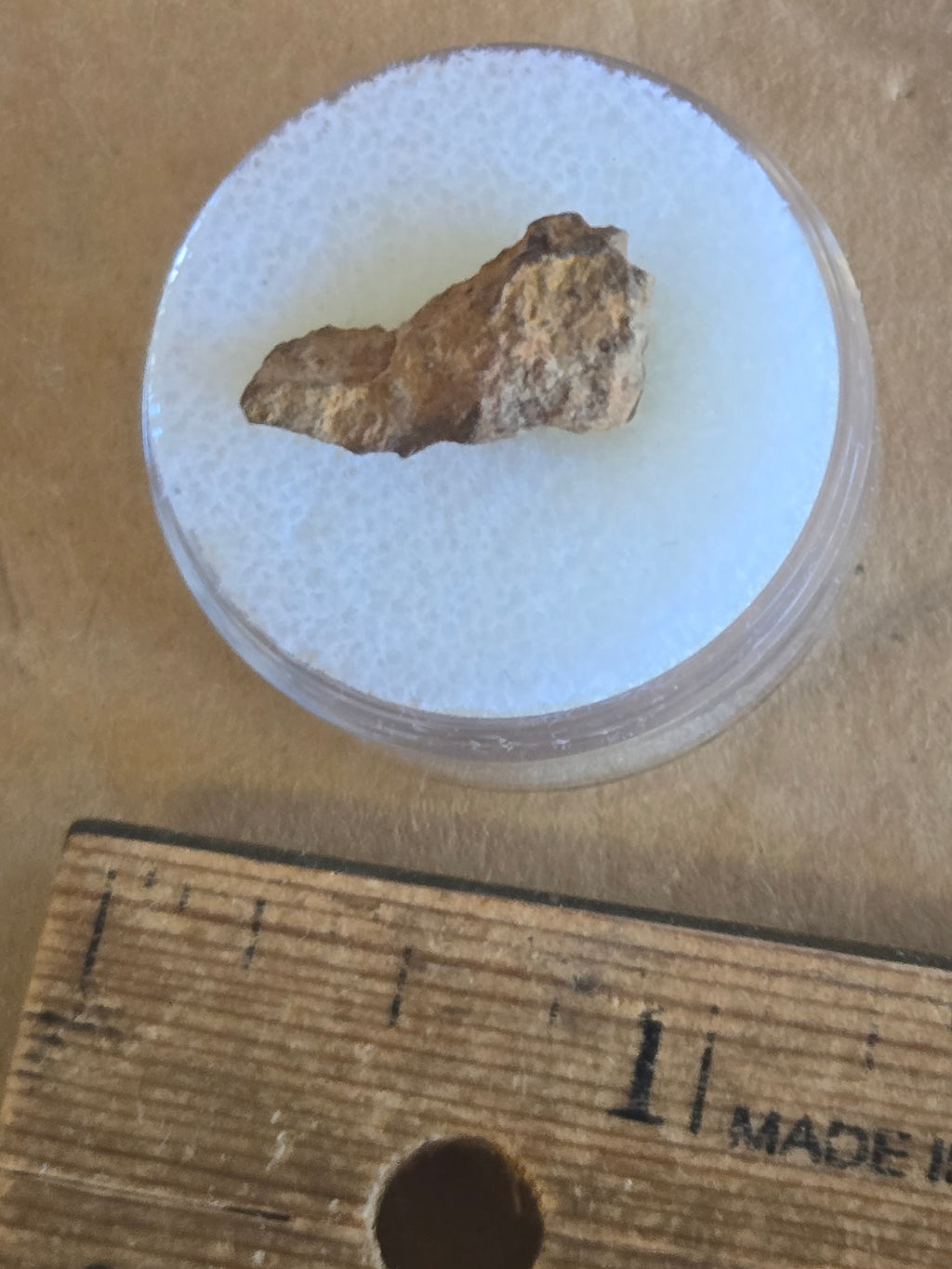 NWA 6336 Meteorite