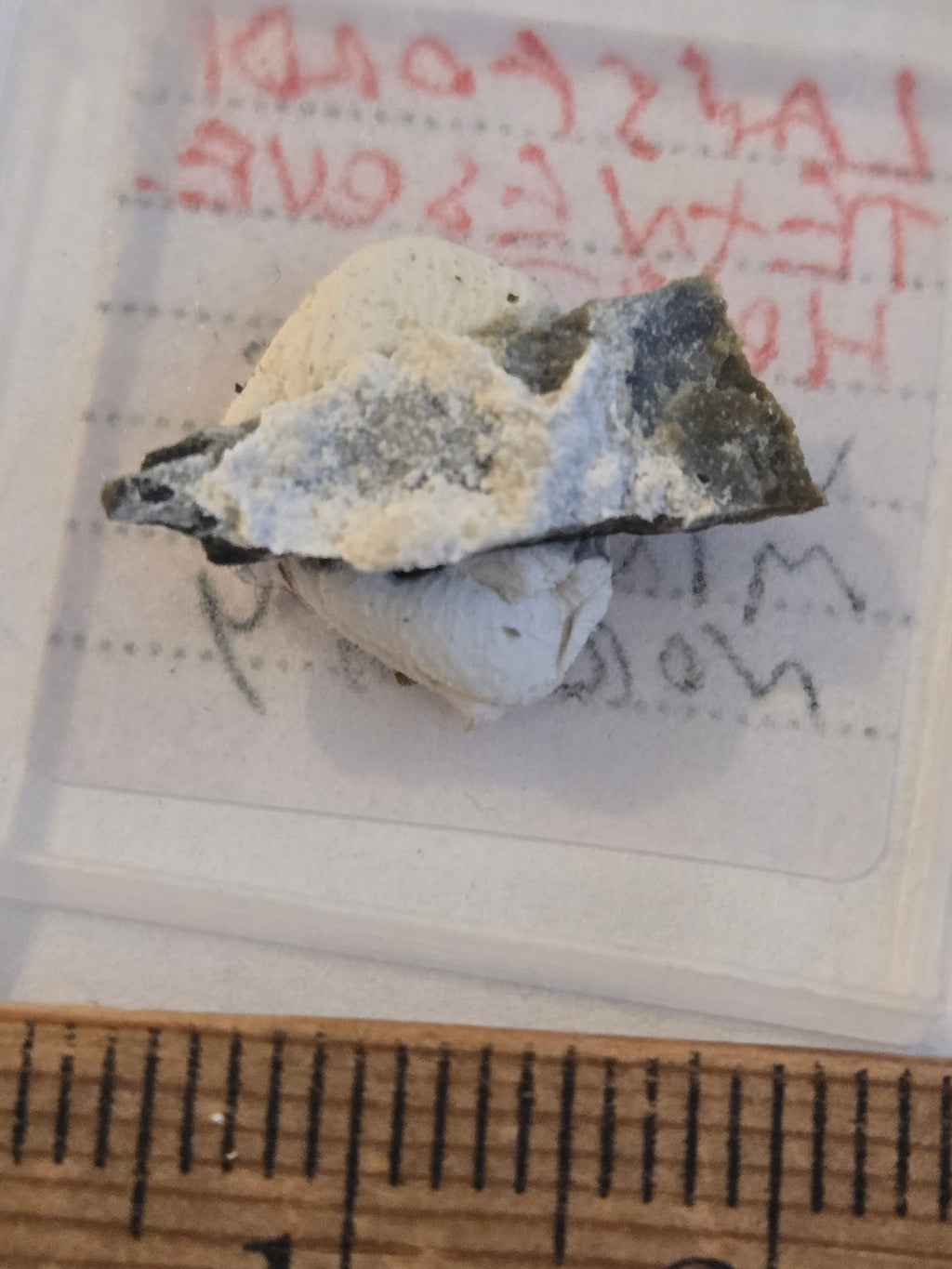 Lansfordite