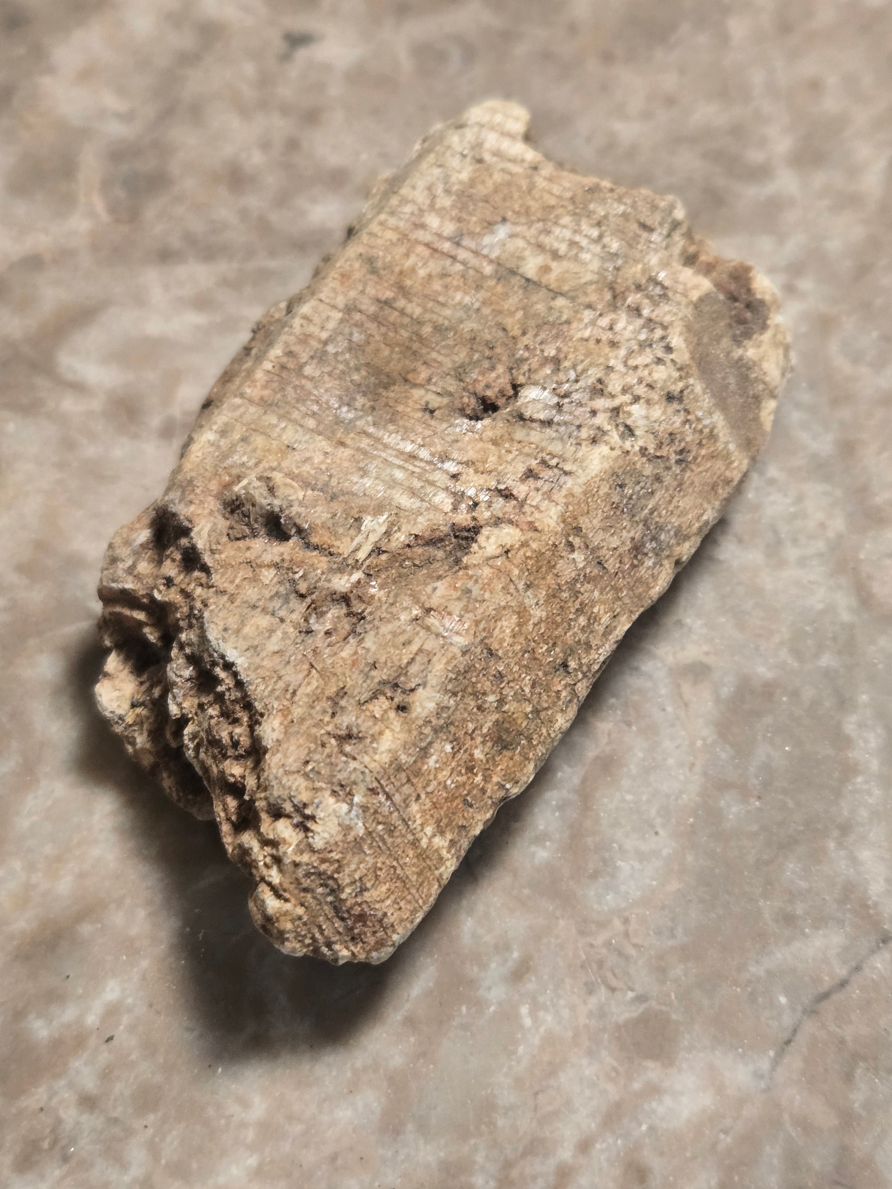Tremolite after diopside