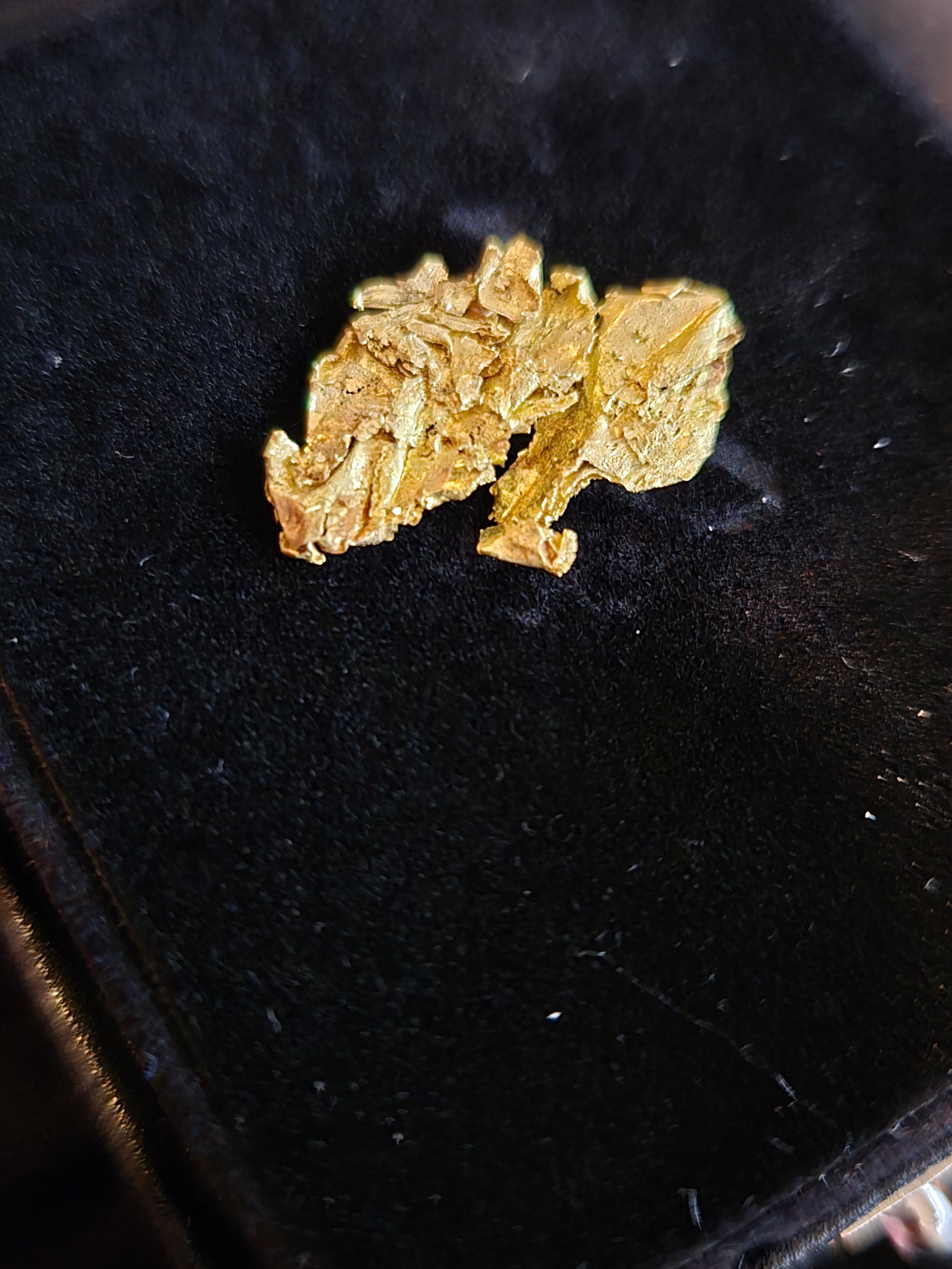 Gold specimen from Eagle's Nest
