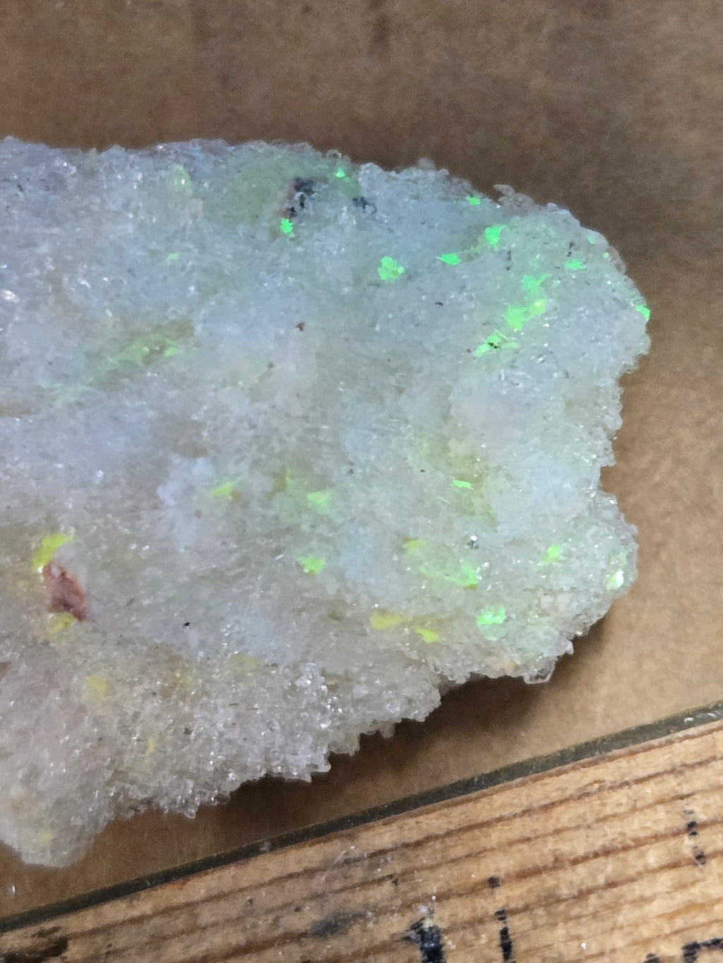 Novacekite in selenite