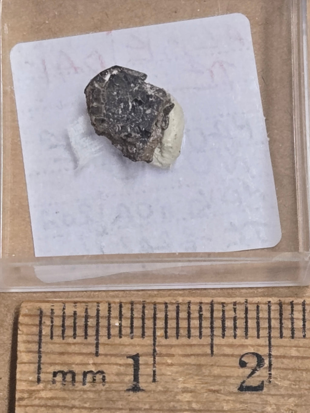 Almeidaite
