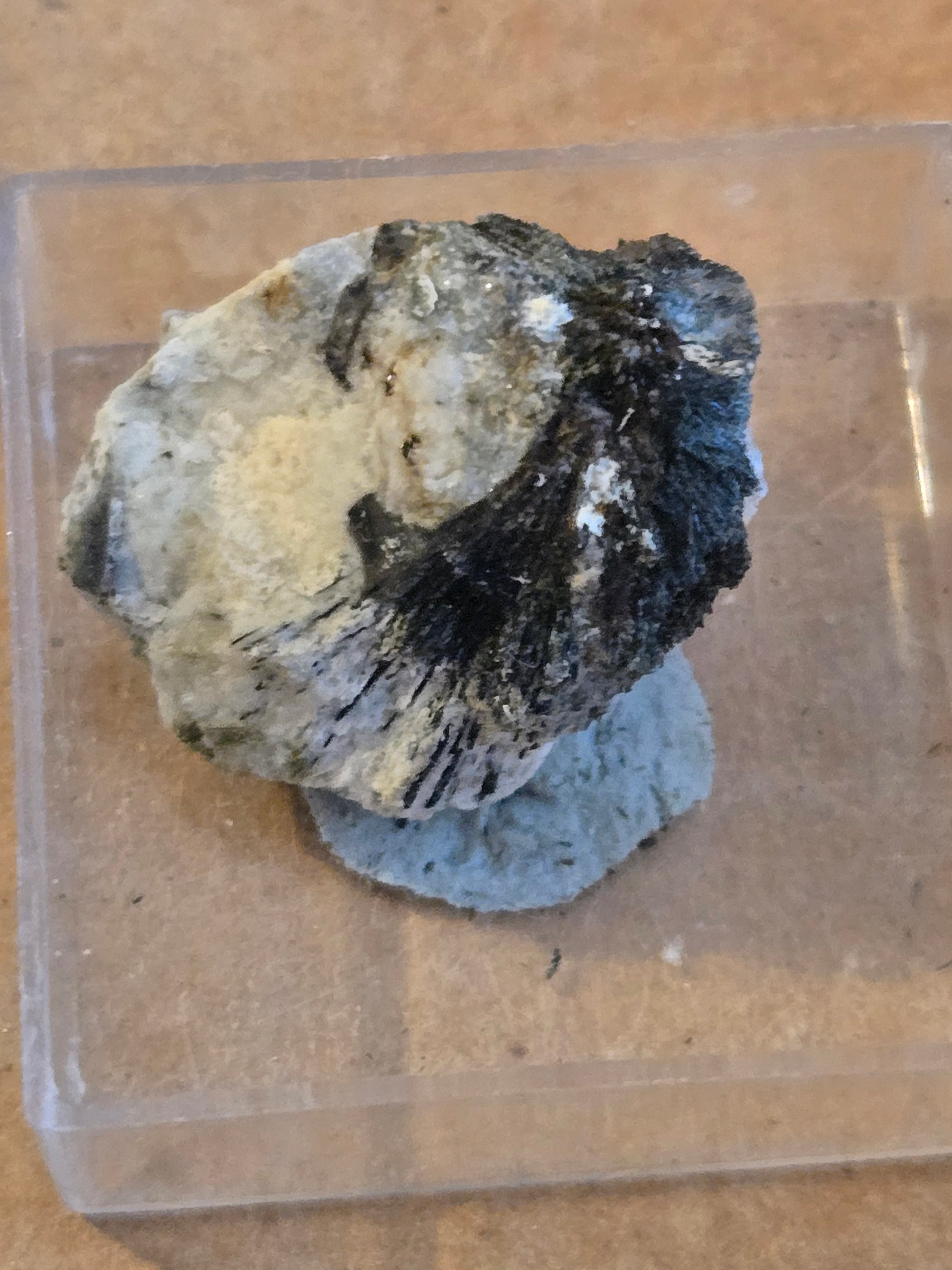 Korobitsynite