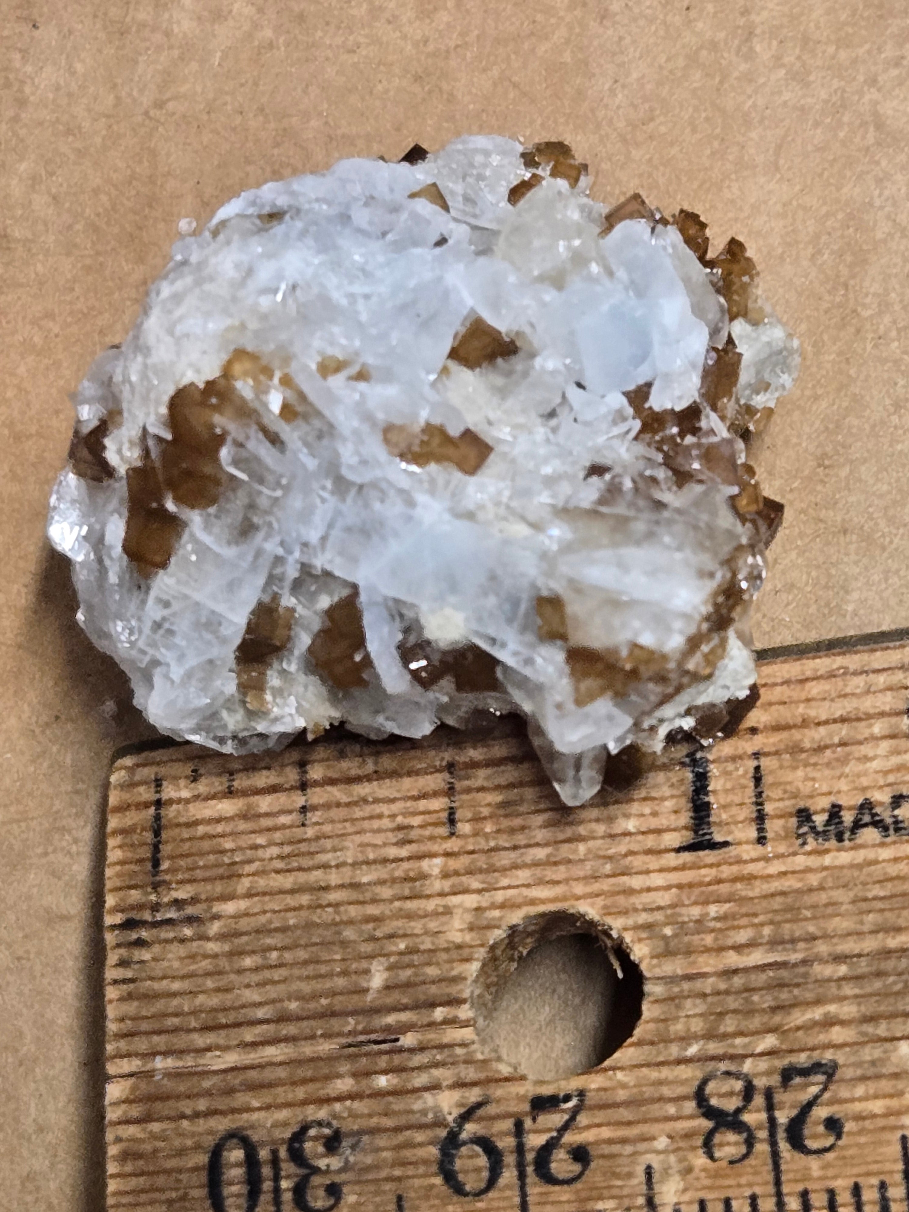 Fluorite with celestite