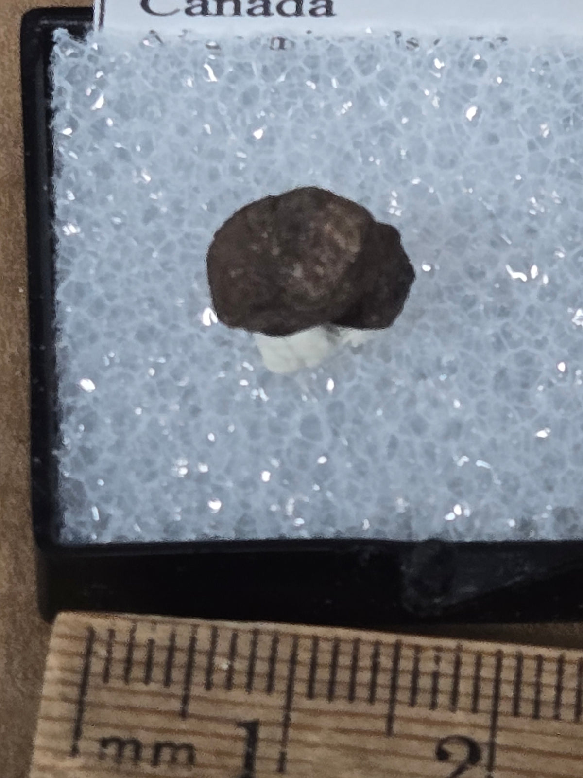 Betafite crystal
