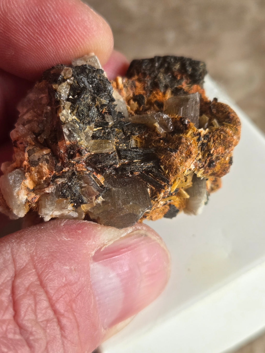 Diaspore Specimen