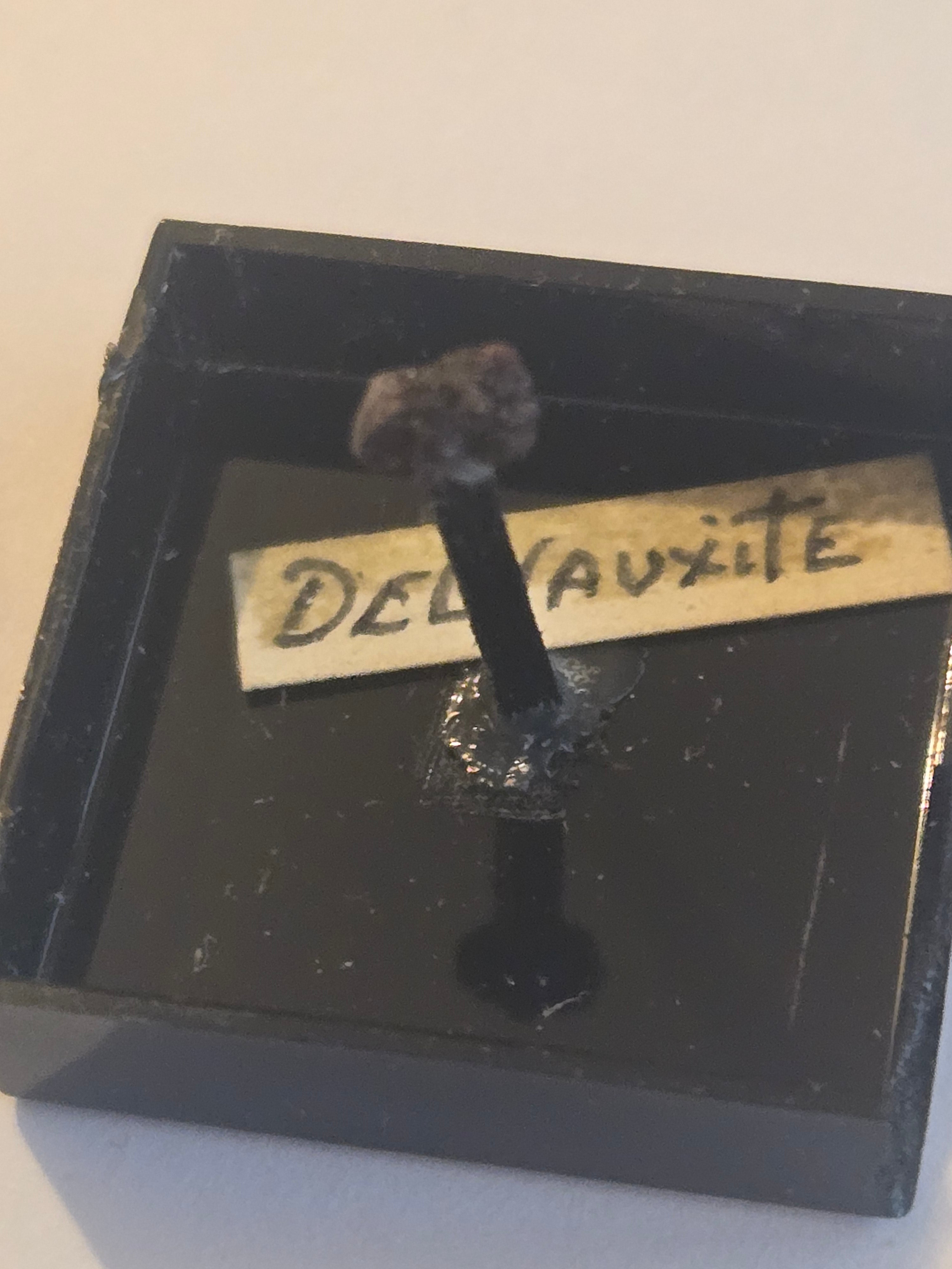 Delvauxite