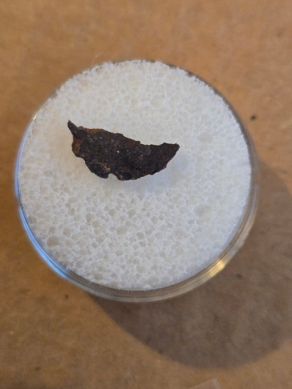 Dar al Gani 1038 meteorite specimen