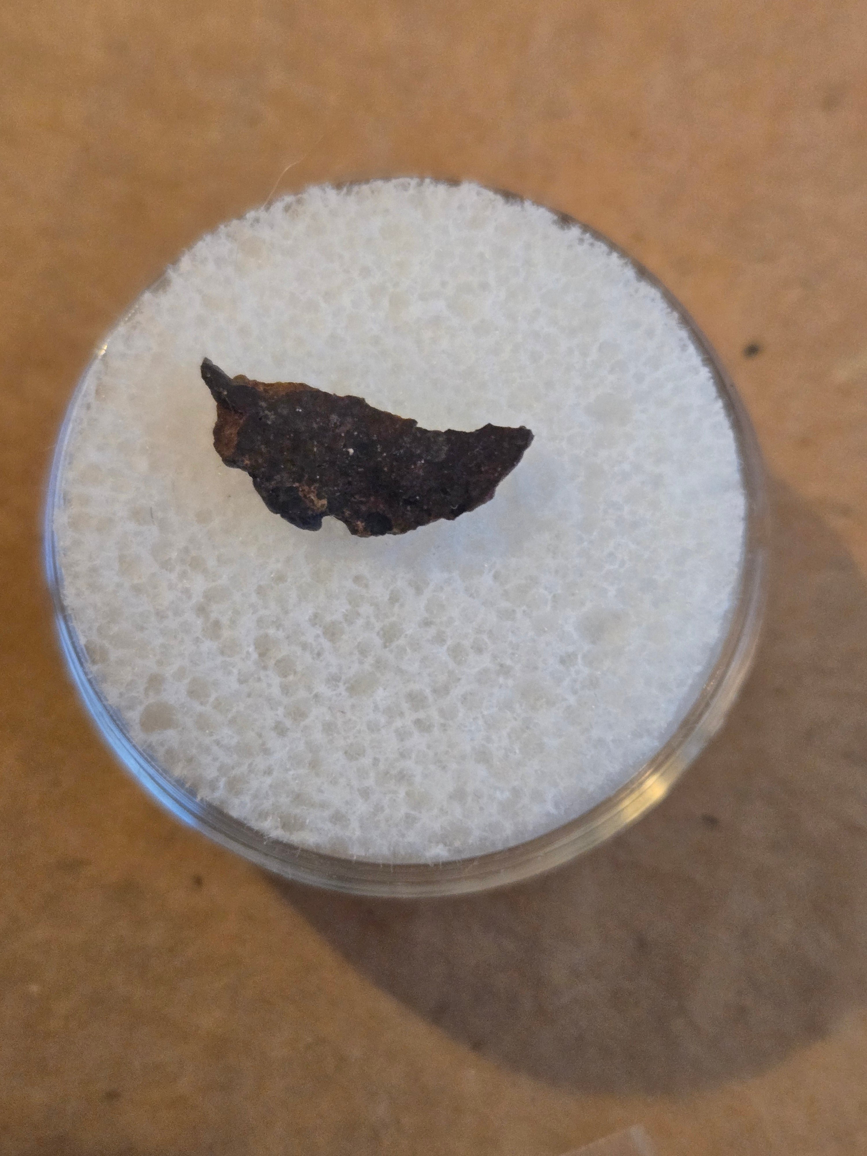 Dar al Gani 1038 meteorite specimen